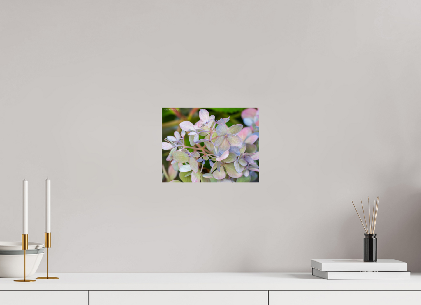 10.4 x 8″, Photo Print On Fuji Crystal DP II Zillas Zoom Image 107