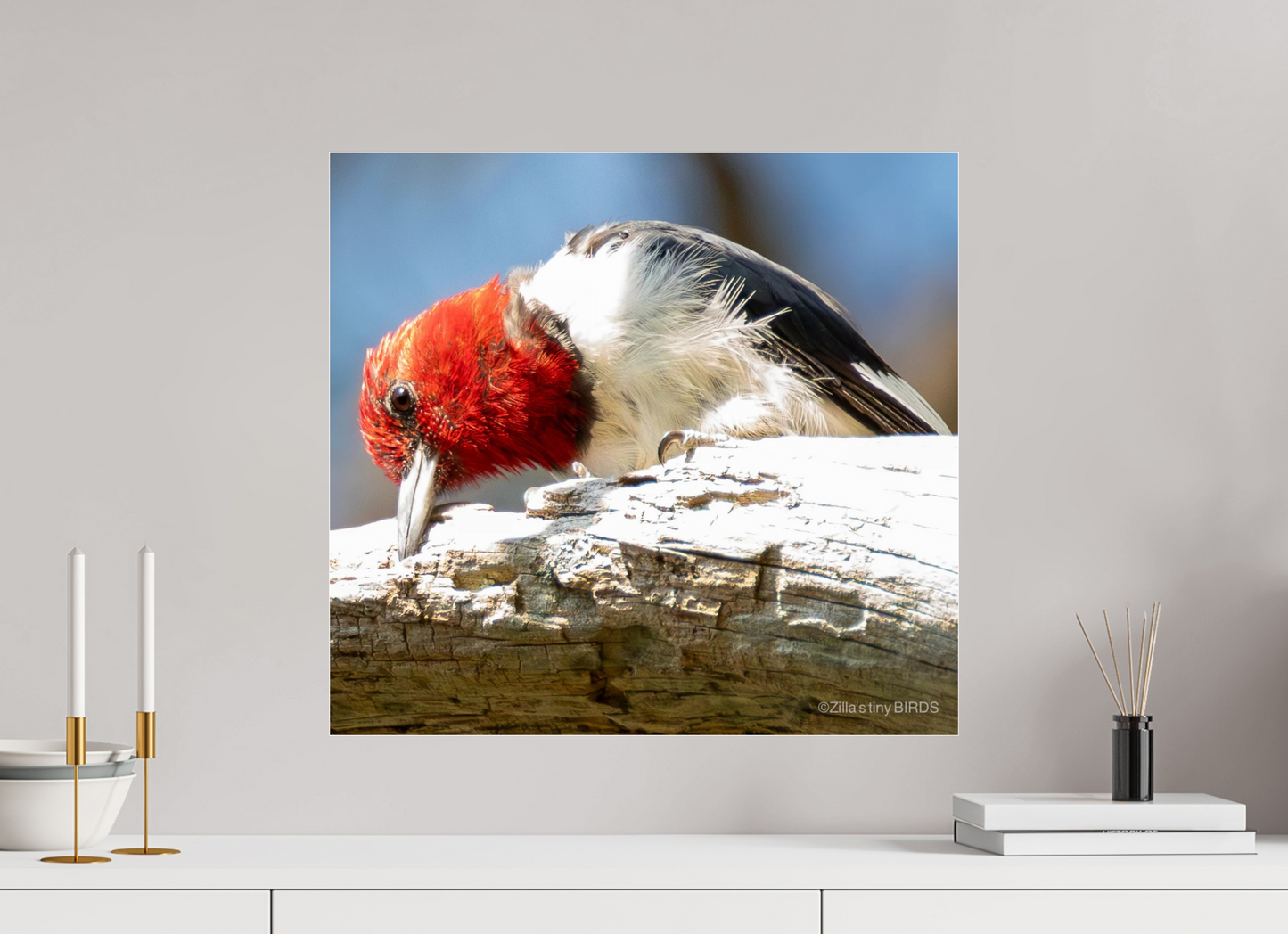 21.6 x 20″, Photo Print Under Acrylic Glass Zillas Zoom Image 270