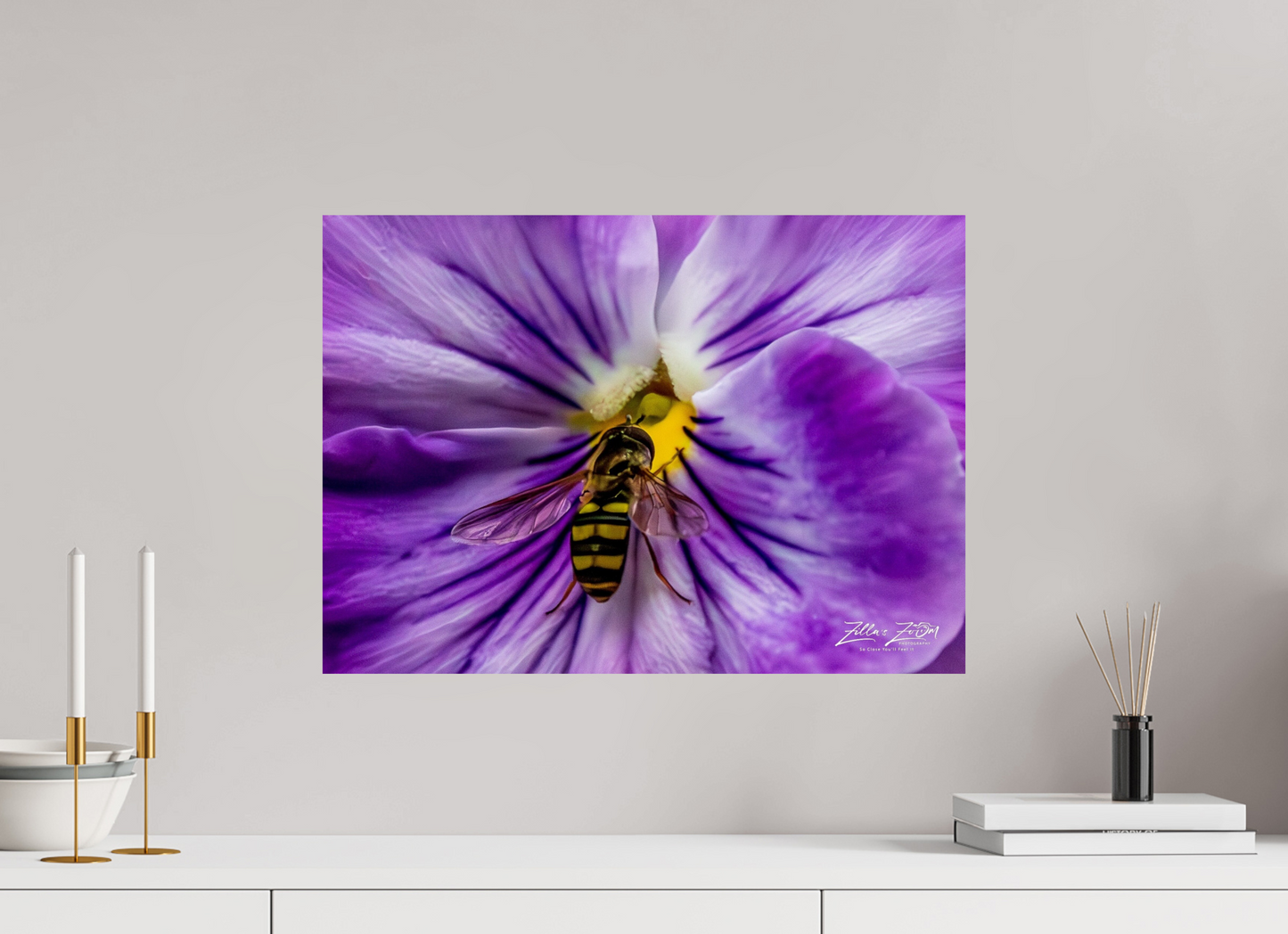22.4 x 16″, Photo Print On Fuji Crystal DP II Zillas Zoom Image 103