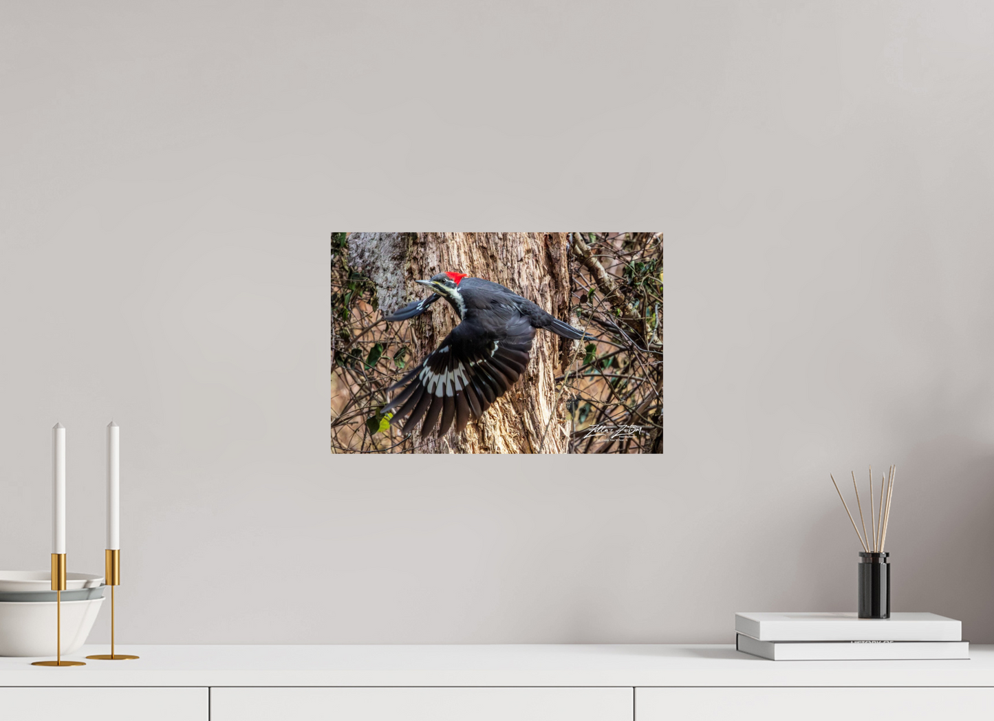 15 x 10″, Photo Print On Fuji Crystal DP II Zillas Zoom Image 285