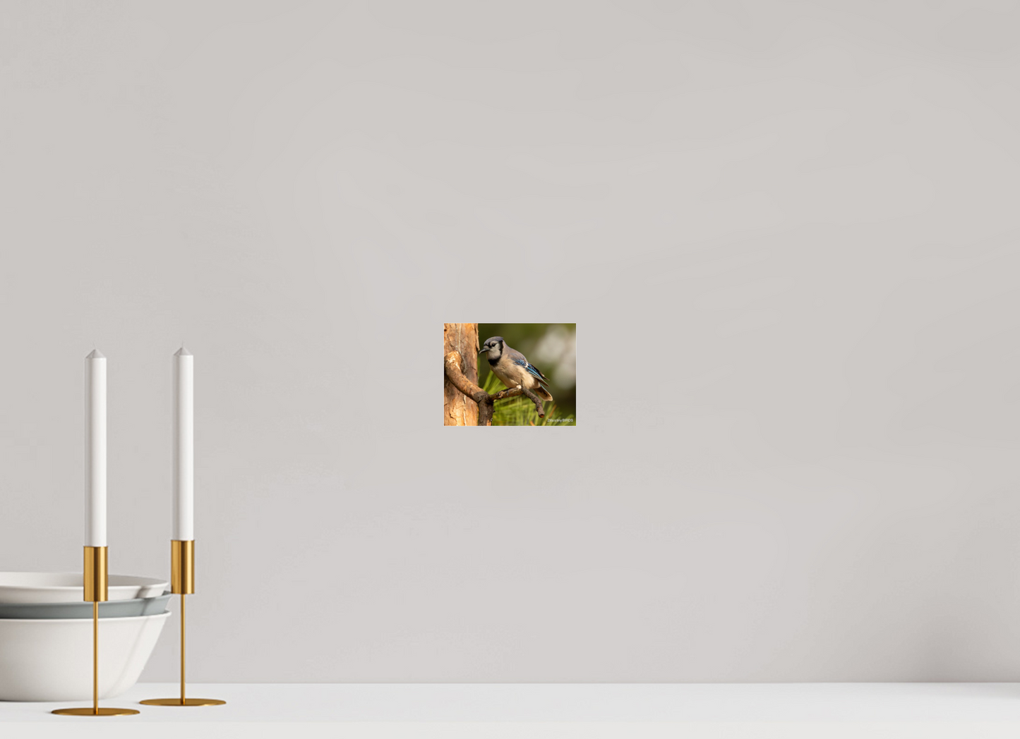 5.2 x 4″, Photo Print Under Acrylic Glass Zillas Zoom Image 387