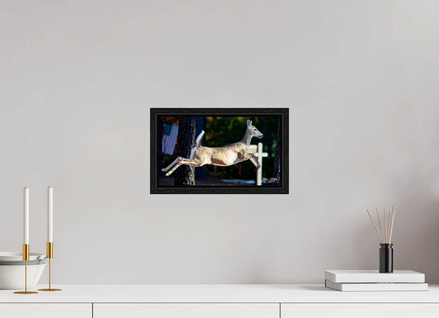 12 x 6.8″, Floater Frame Zillas zoom image 141