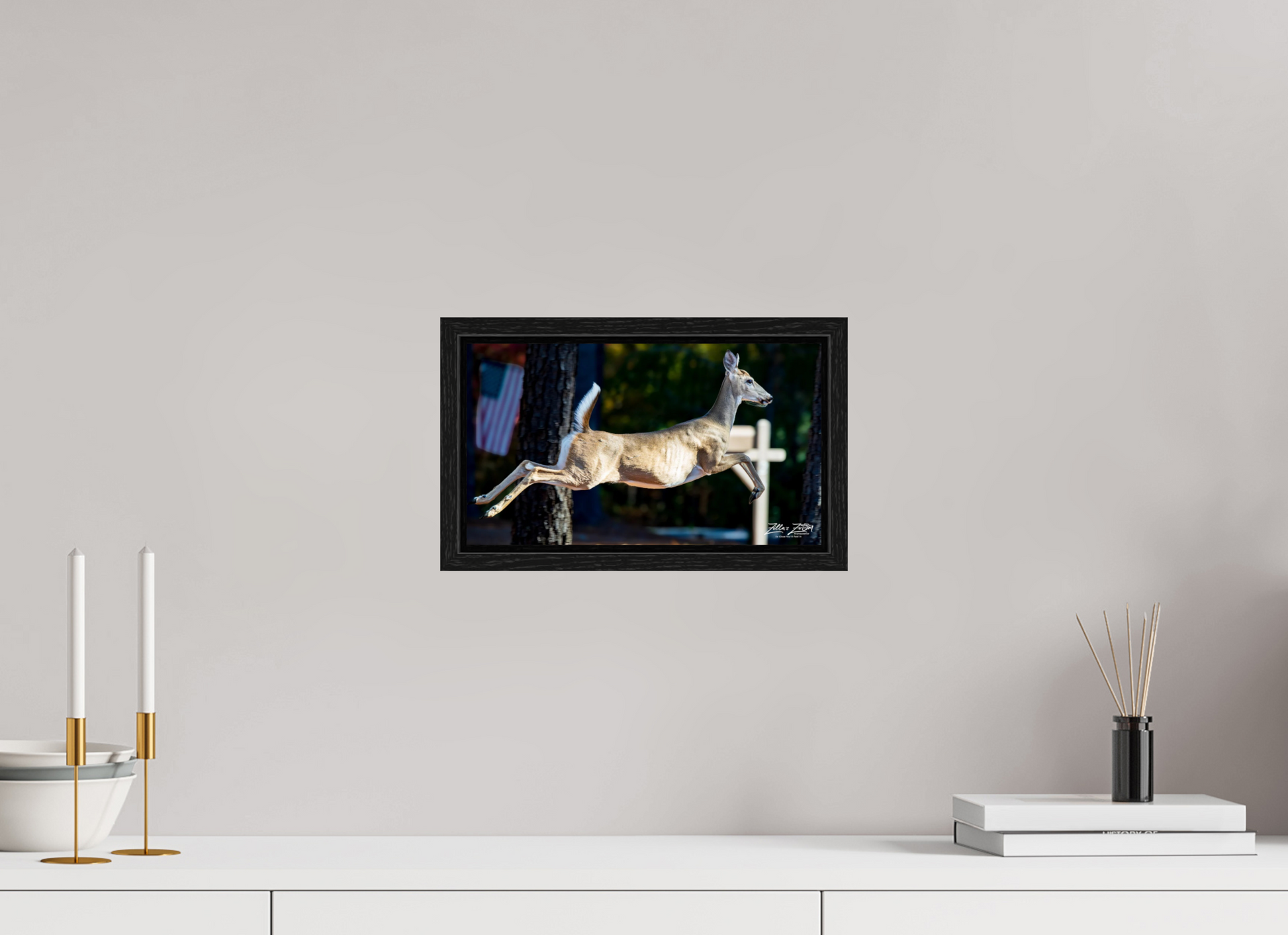 12 x 6.8″, Floater Frame Zillas zoom image 141