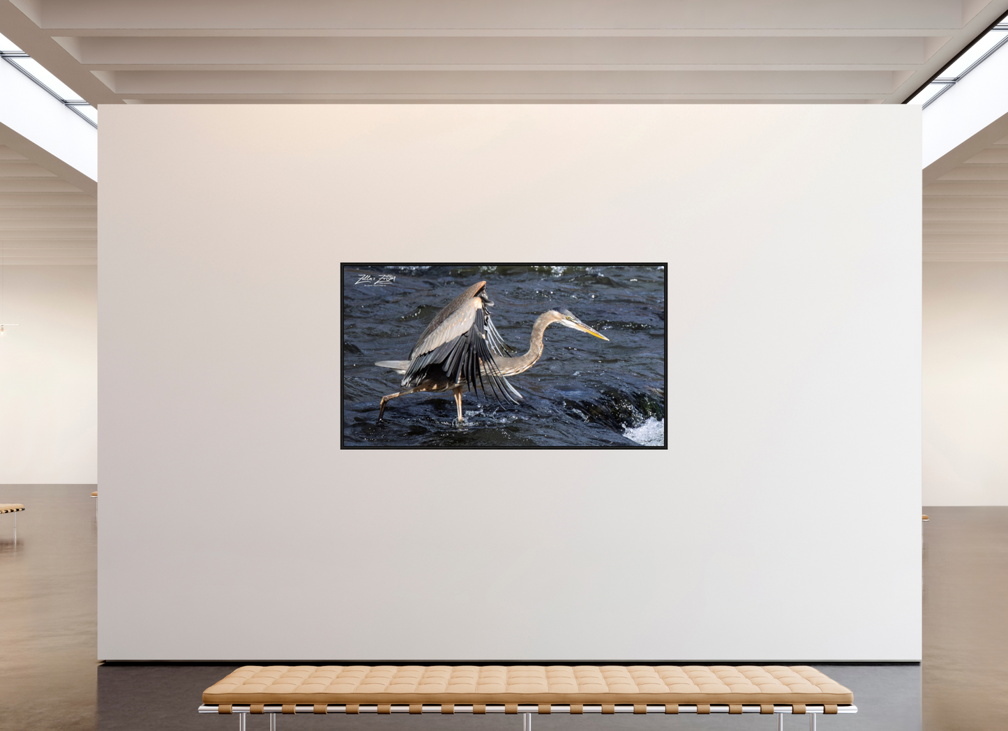 80 x 45″, Floater Frame Zillas Zoom Image 284