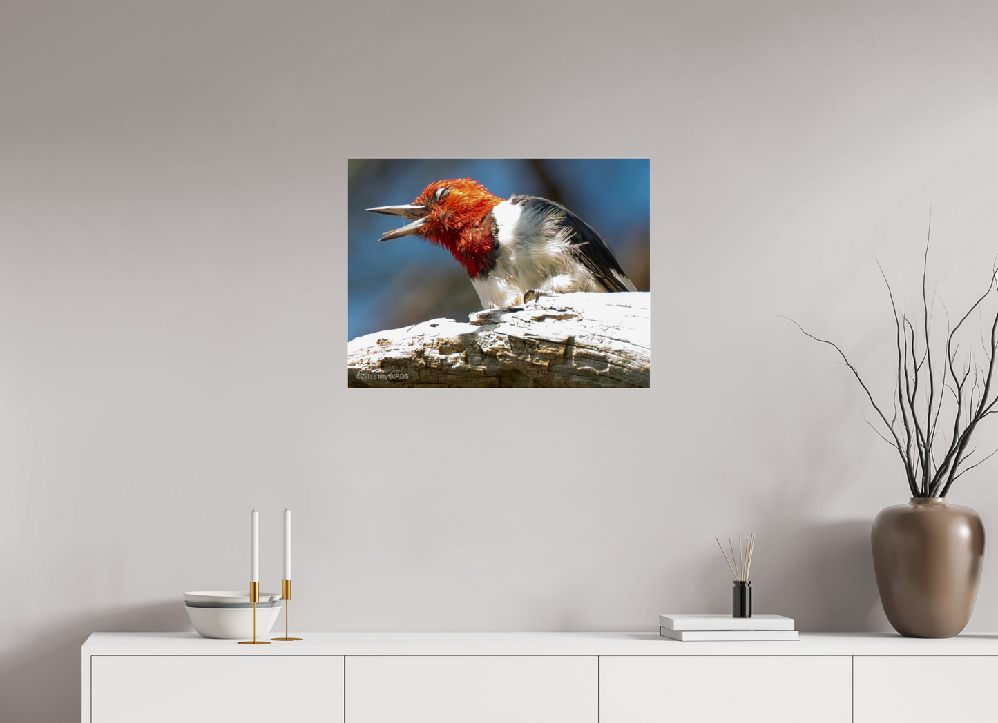 26.3 x 20″, Photo Print Under Acrylic Glass Zillas Zoom Image 269