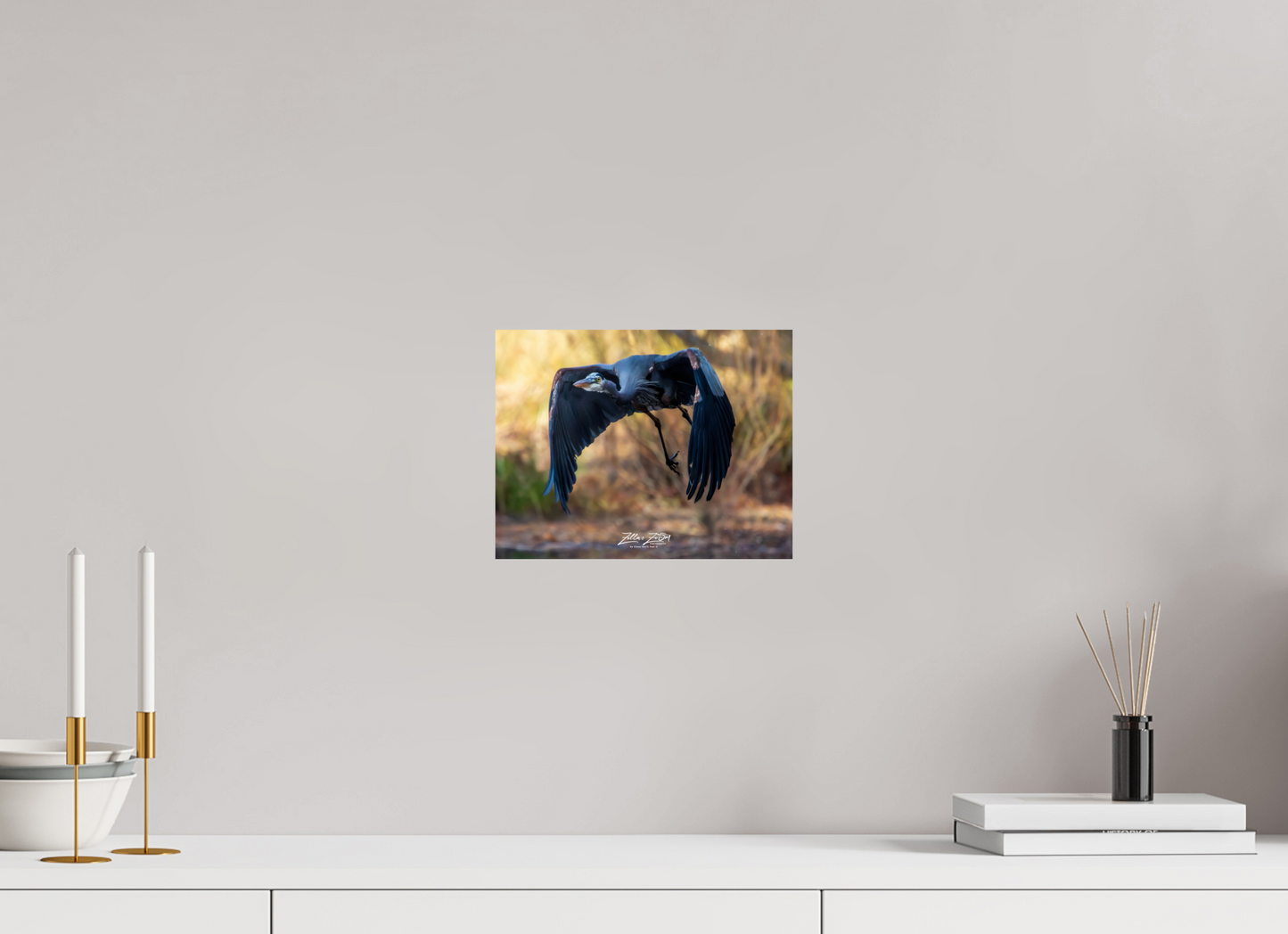10.4 x 8″, Photo Print On Fuji Crystal DP II Zillas Zoom Image 295