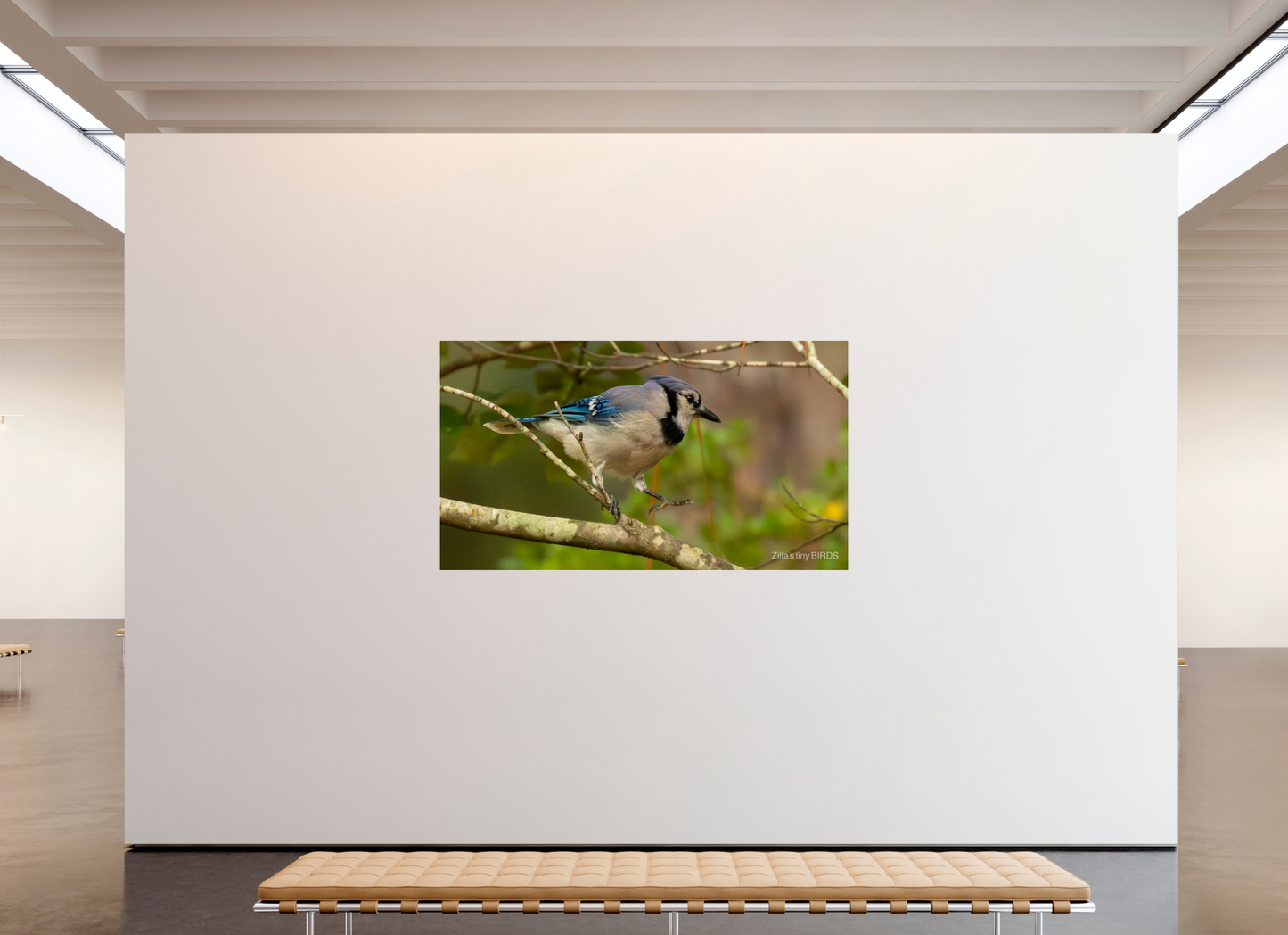 80 x 45″, Photo Print Under Acrylic Glass Zillas Zoom Image 391