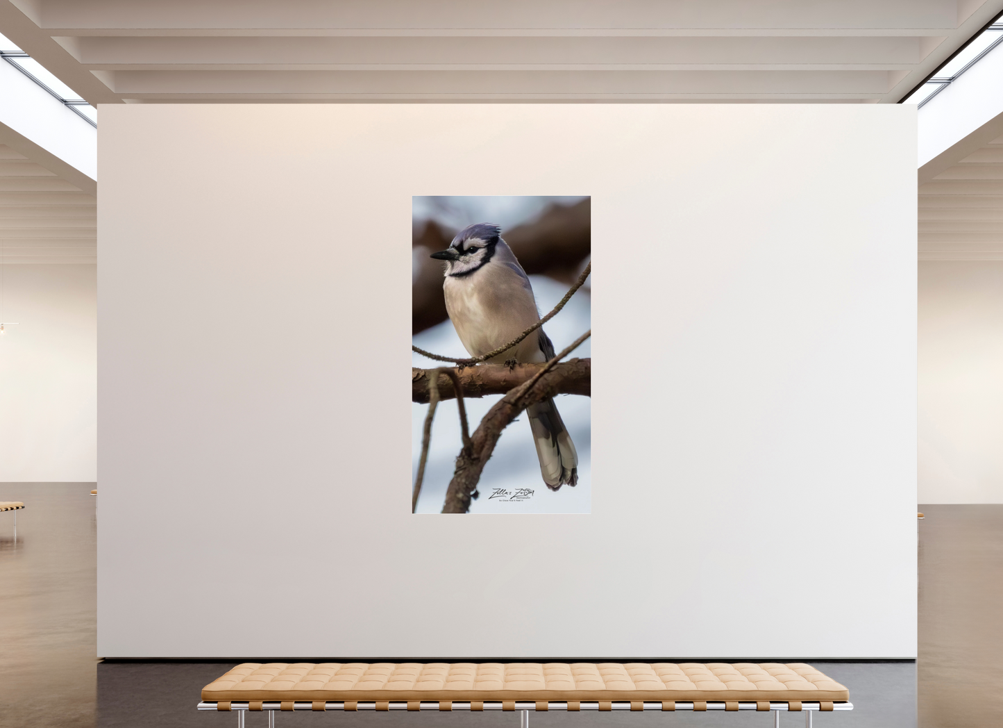 45 x 80″, Photo Print Under Acrylic Glass Zillas Zoom Image 446