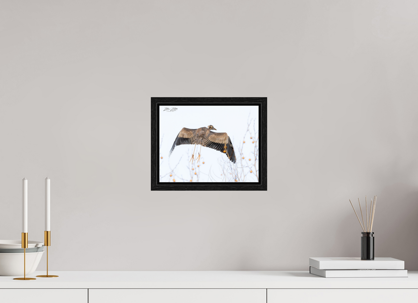 10.4 x 8″, Floater Frame Zillas Zoom Image 276