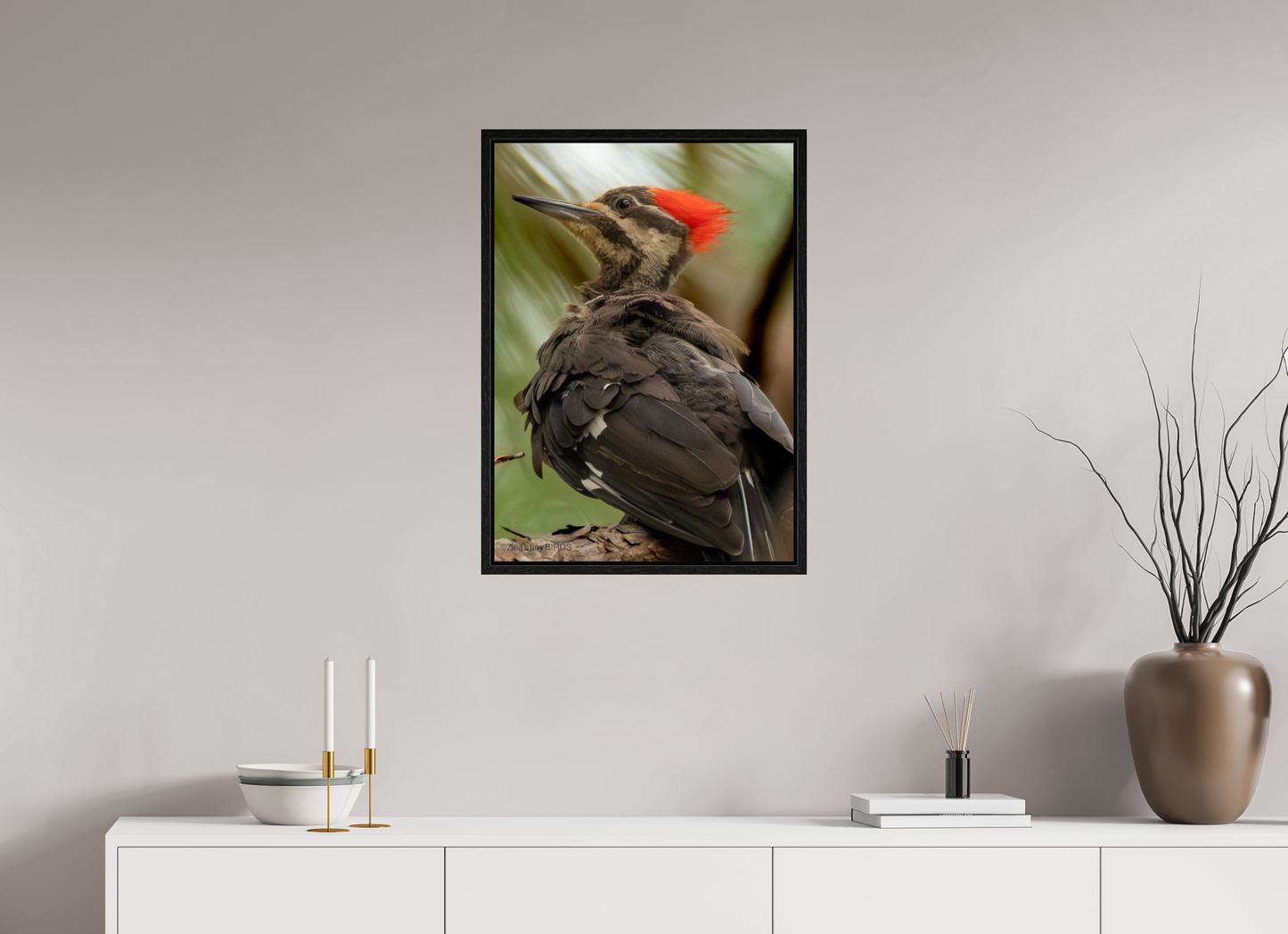 20 x 28″, Floater Frame Zillas Zoom Image 443