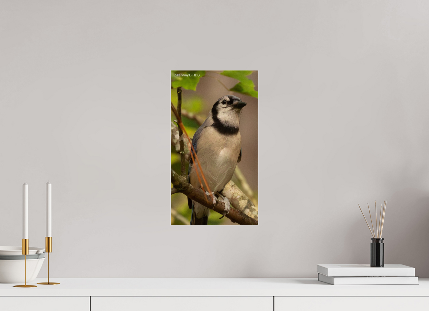 9 x 16″, Photo Print Under Acrylic Glass Zillas Zoom Image 493