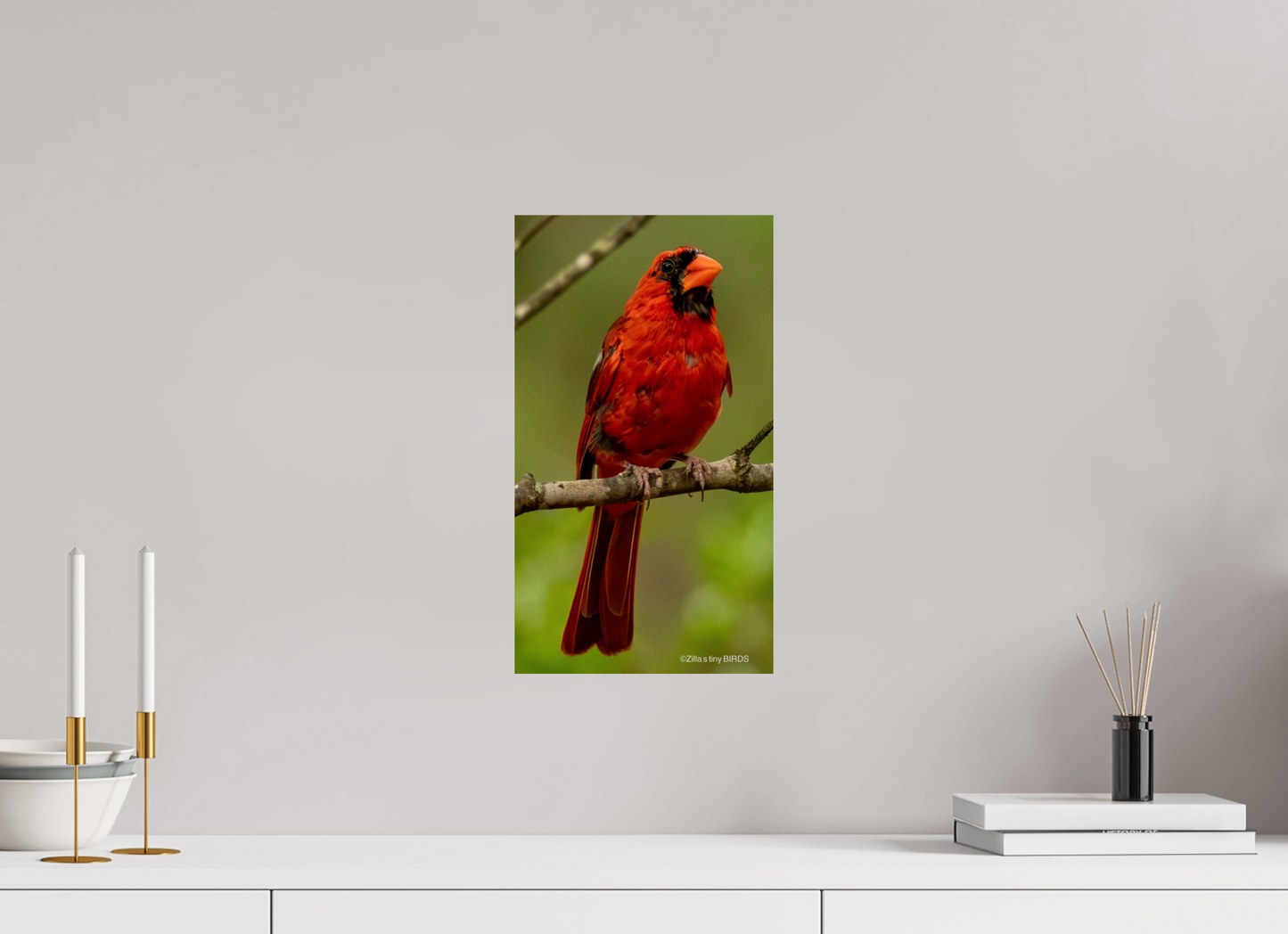 9 x 16″, Photo Print On Fuji Crystal DP II Zillas Zoom Image 397