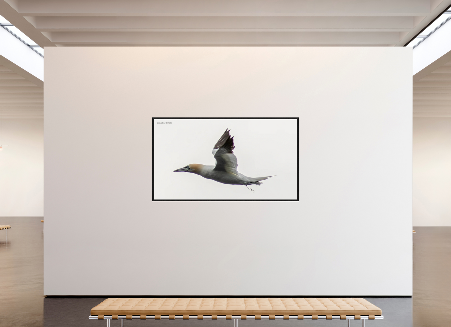 80 x 45″, Floater Frame Zillas Zoom Image 331