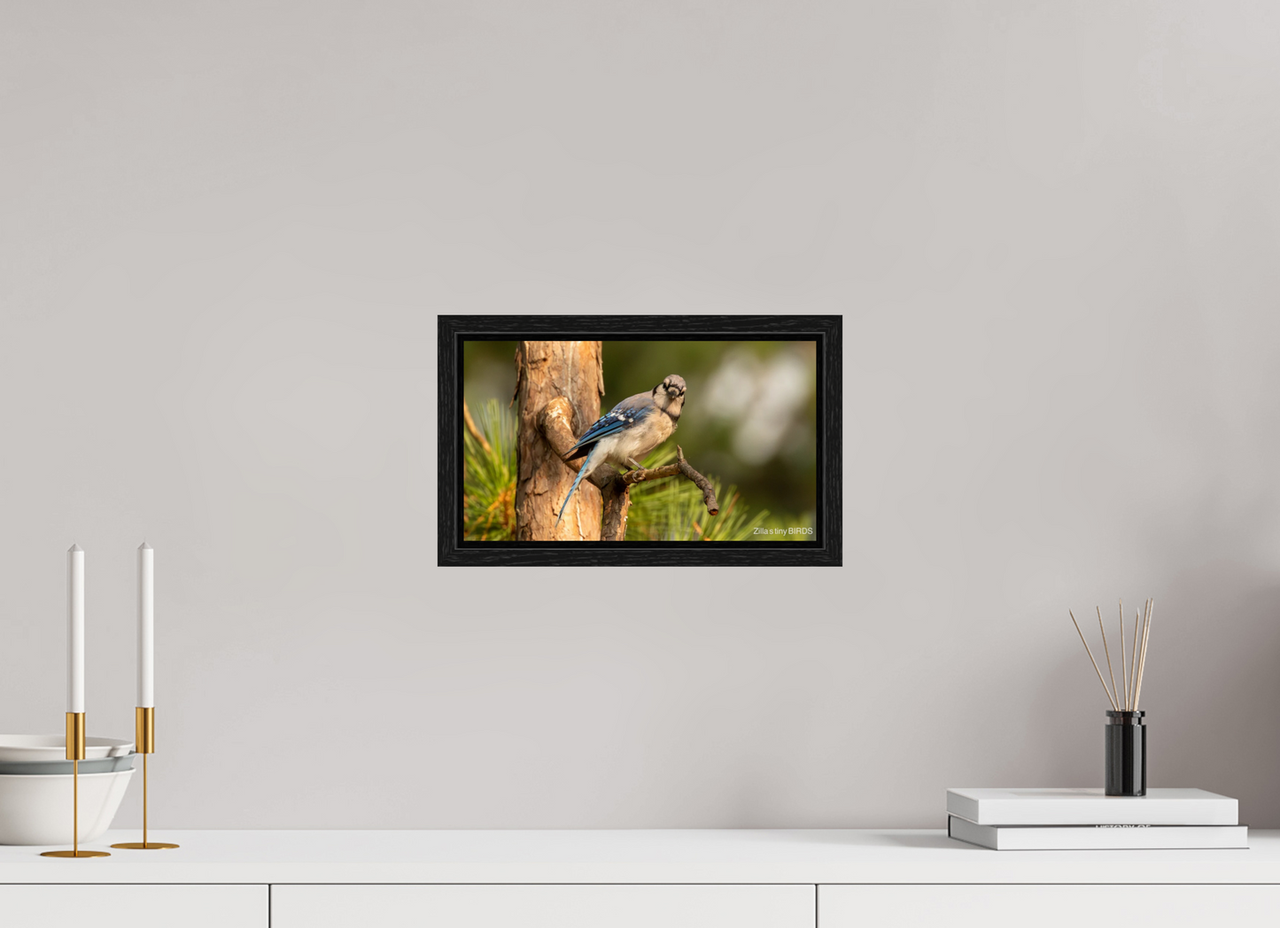 12 x 6.8″, Floater Frame Zillas Zoom Image 385