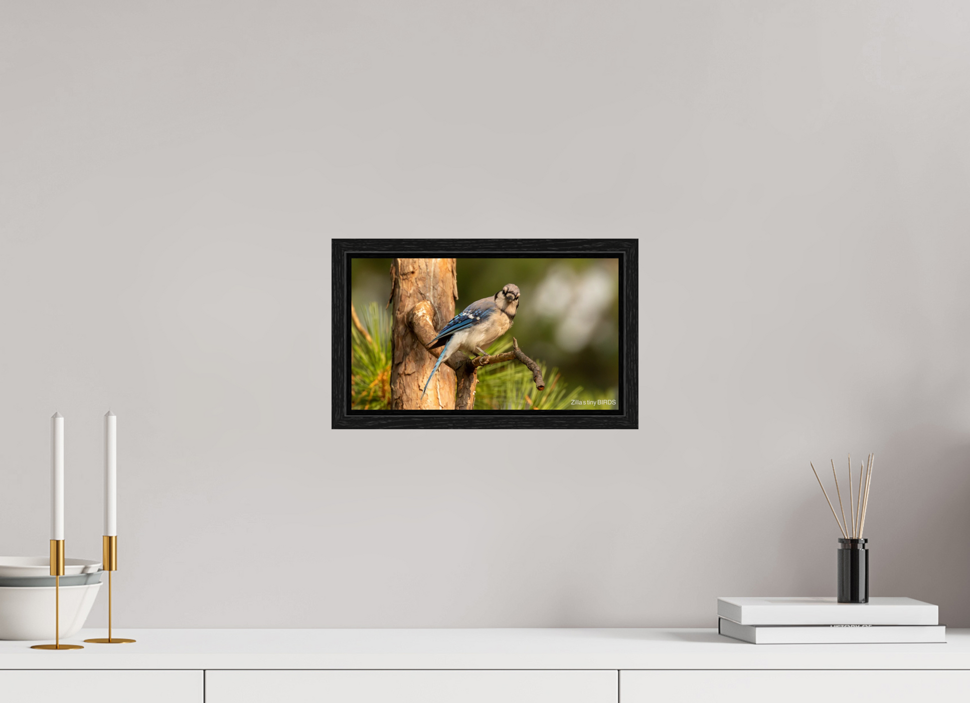 12 x 6.8″, Floater Frame Zillas Zoom Image 385