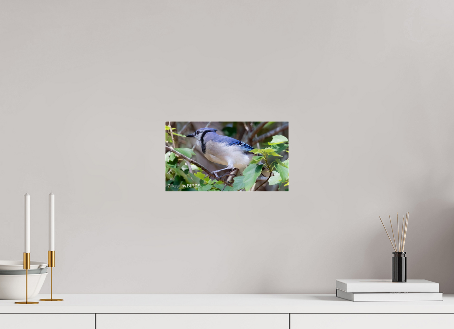 12 x 6.8″, Photo Print Under Acrylic Glass Zillas Zoom Image 377