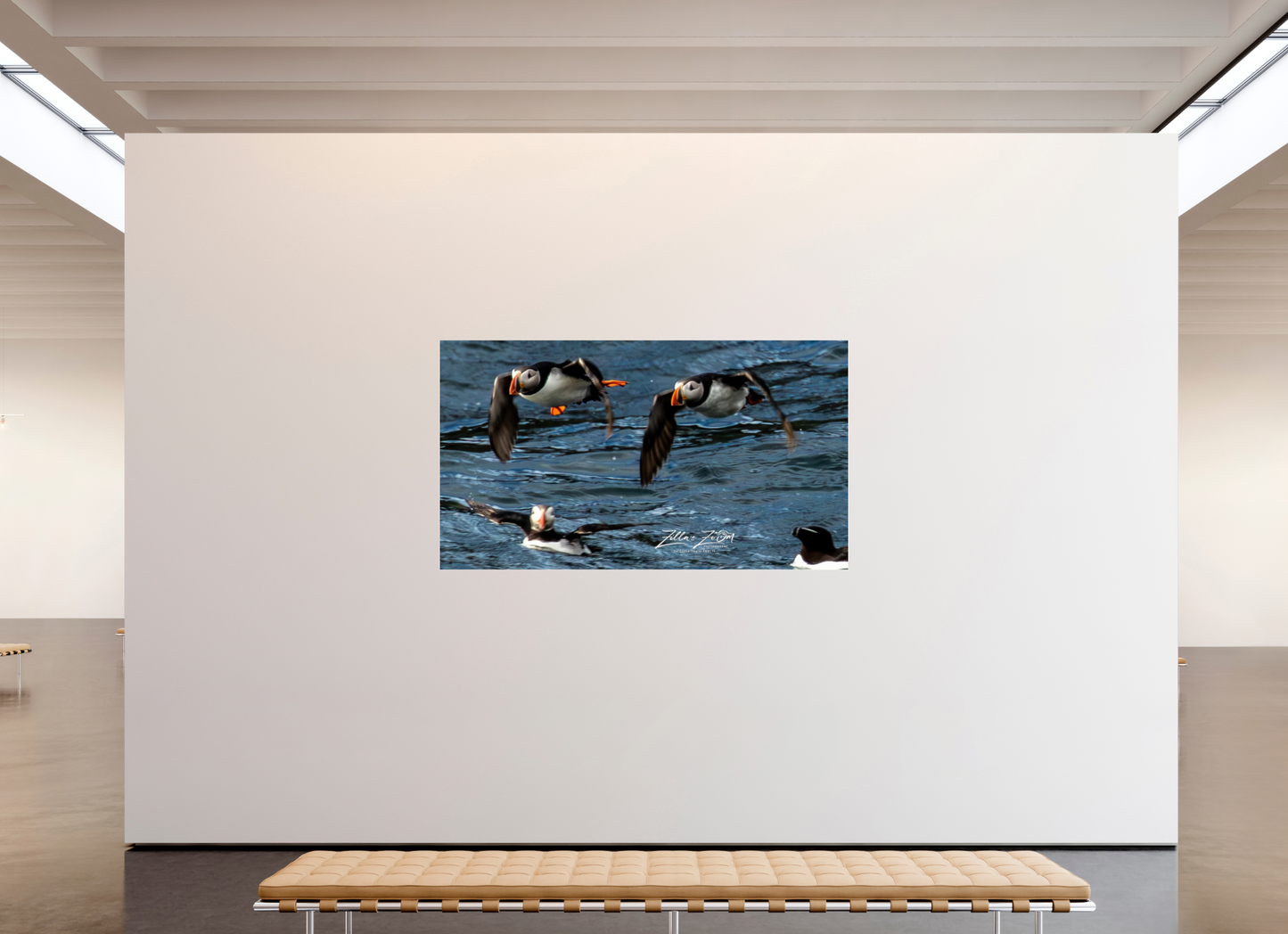 80 x 45″, Photo Print Under Acrylic Glass Zillas Zoom Image 340