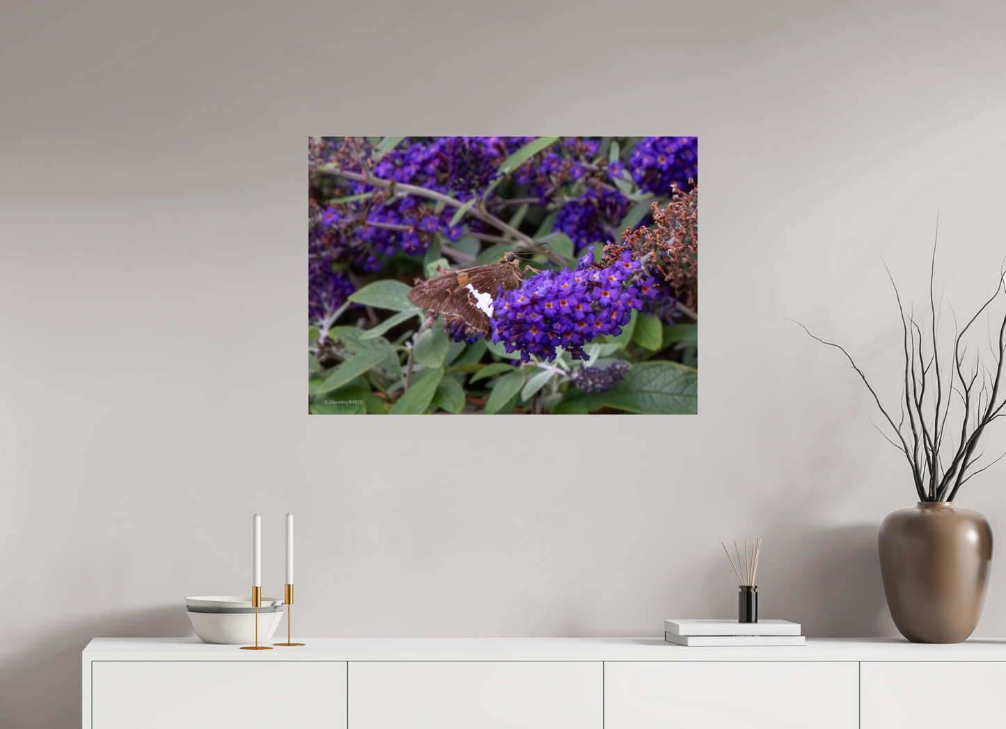 33.6 x 24″, Photo Print Under Acrylic Glass Zillas Zoom Image 60