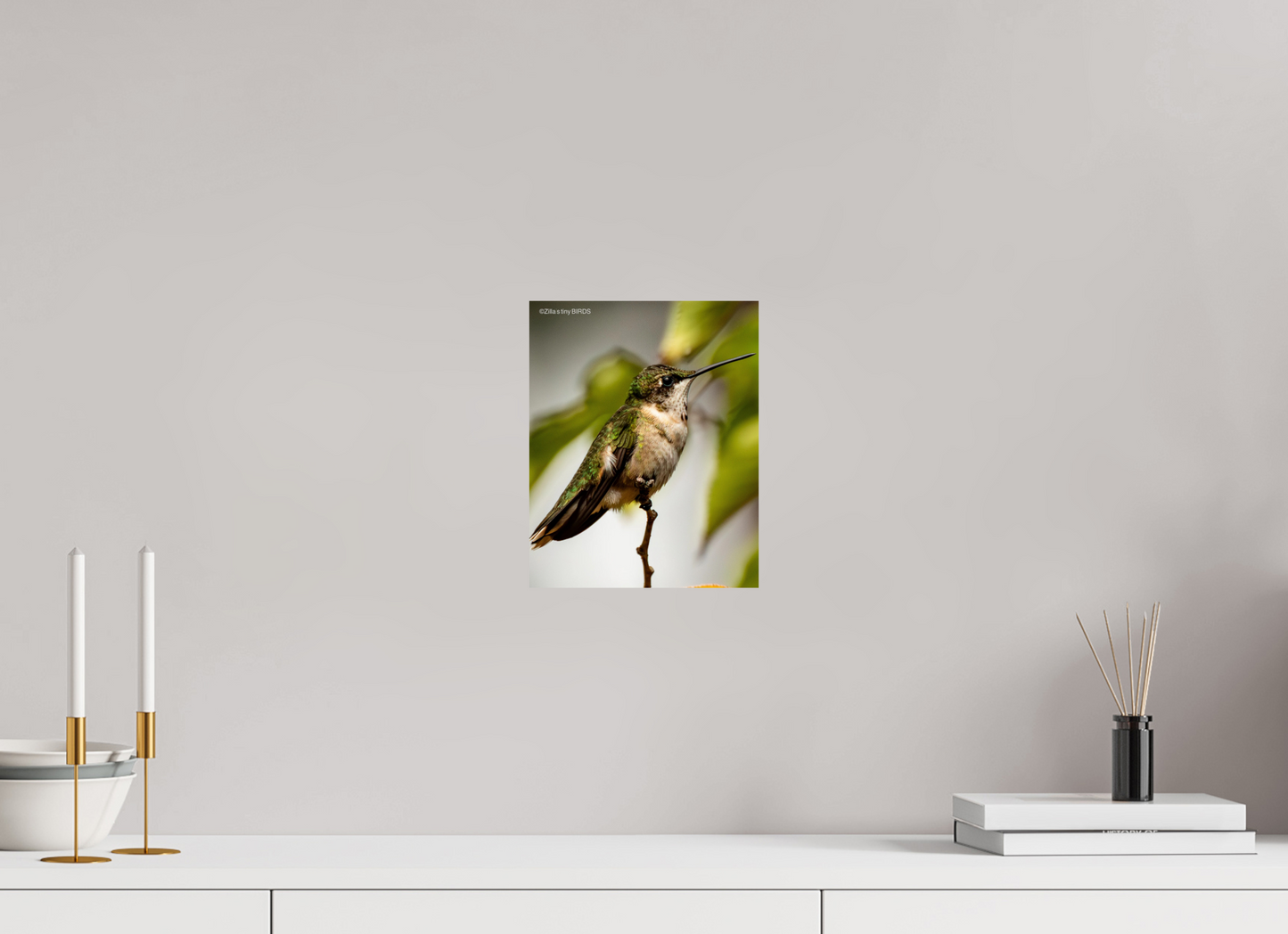 8 x 10″, Photo Print On Fuji Crystal DP II Zillas Zoom Image 472