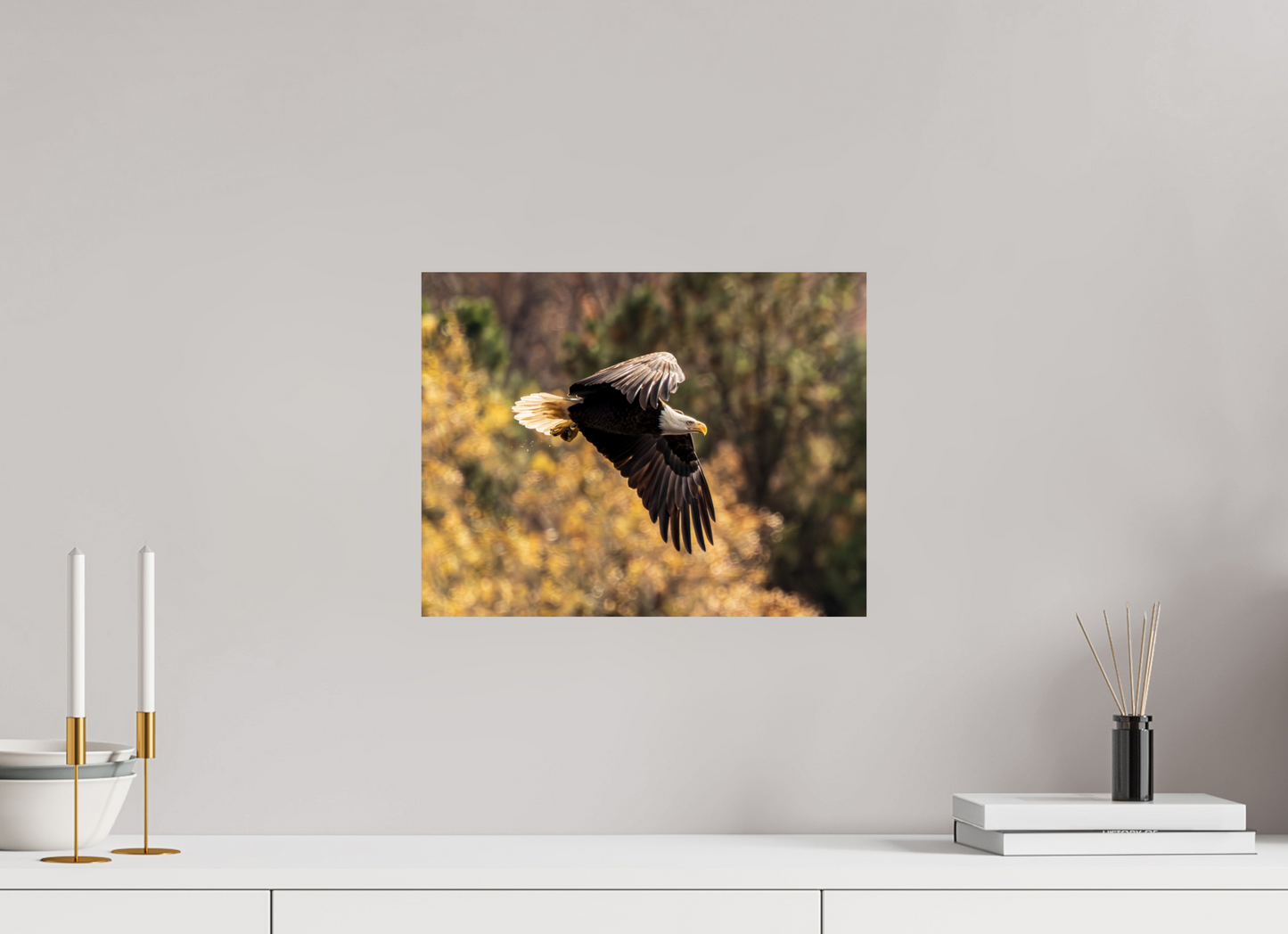 15.5 x 12″, Photo Print On Fuji Crystal DP II Zillas Zoom Image 395