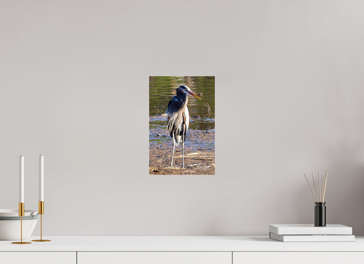 8 x 12″, Photo Print Under Acrylic Glass Zillas Zoom Image 412