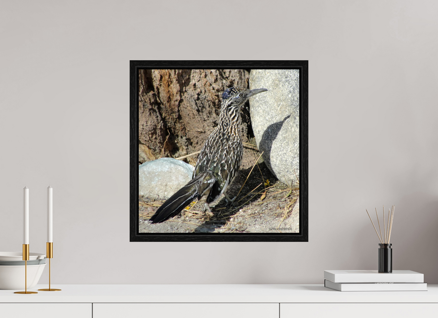 16 x 16.3″, Floater Frame Zillas Zoom Image 362