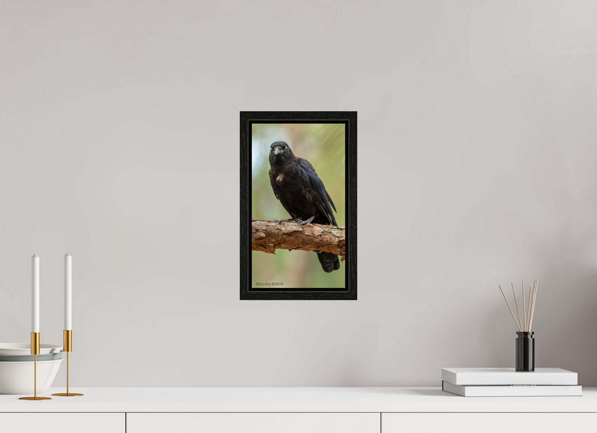 6.8 x 12″, Floater Frame Zillas Zoom Image 478