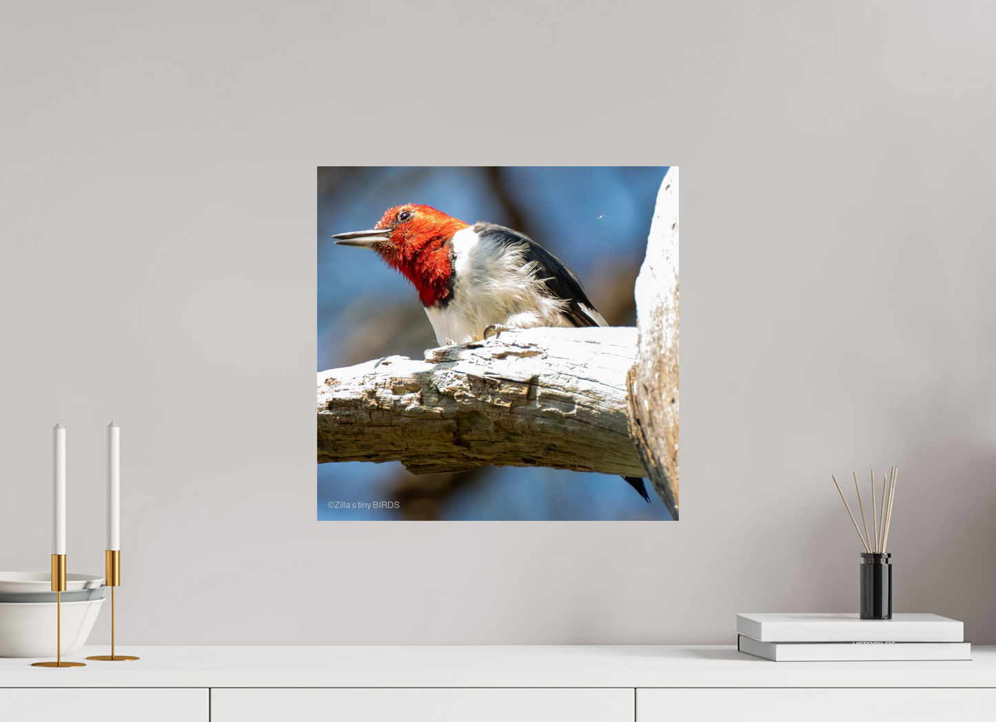 16.3 x 16″, Photo Print On Fuji Crystal DP II Zillas Zoom Image 273