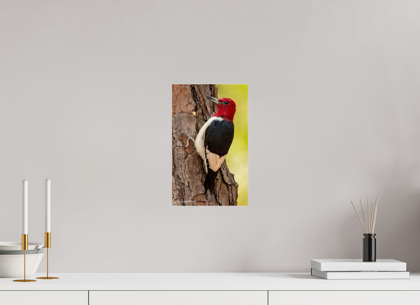 8 x 12.8″, Photo Print Under Acrylic Glass Zillas Zoom Image 463