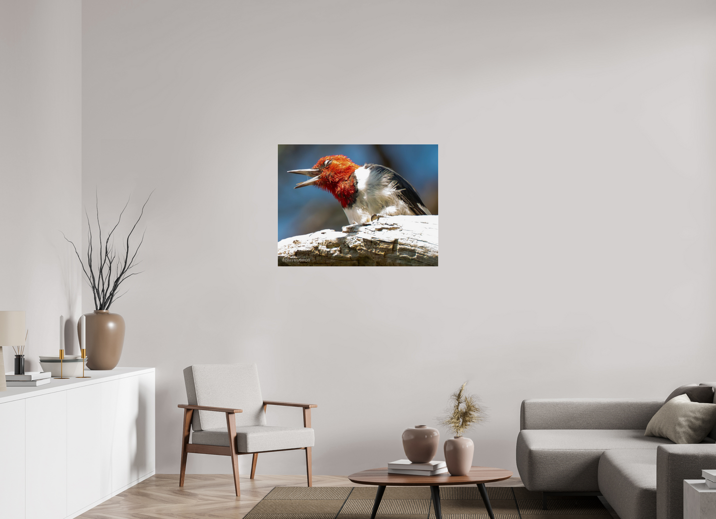 36.7 x 28″, Photo Print Under Acrylic Glass Zillas Zoom Image 269