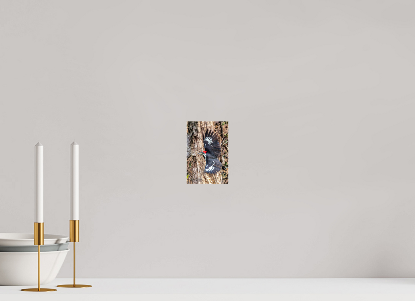4 x 6″, Photo Print Under Acrylic Glass Zillas Zoom Image 418