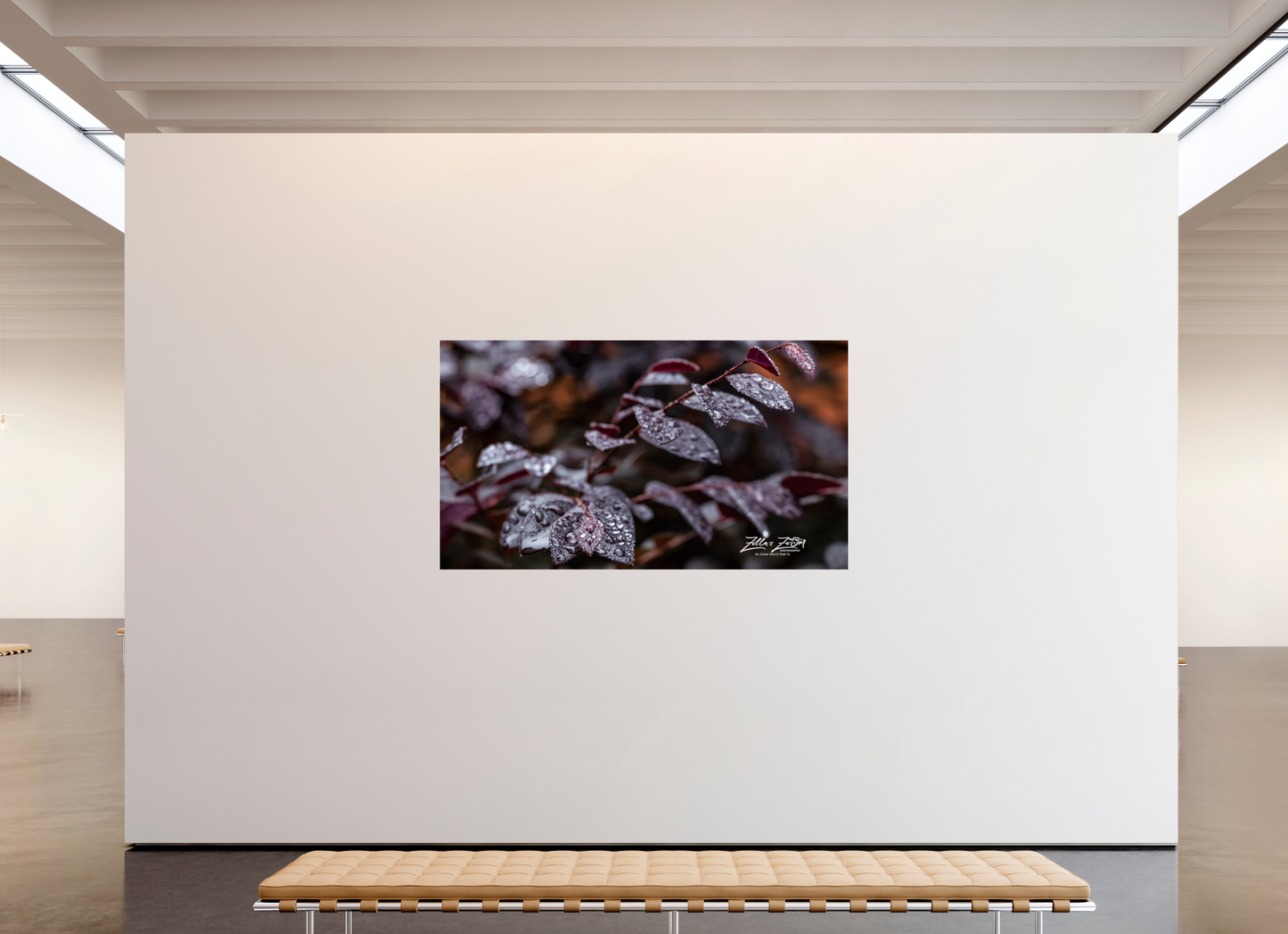 80 x 45″, Photo Print Under Acrylic Glass Zillas Zoom Image 88
