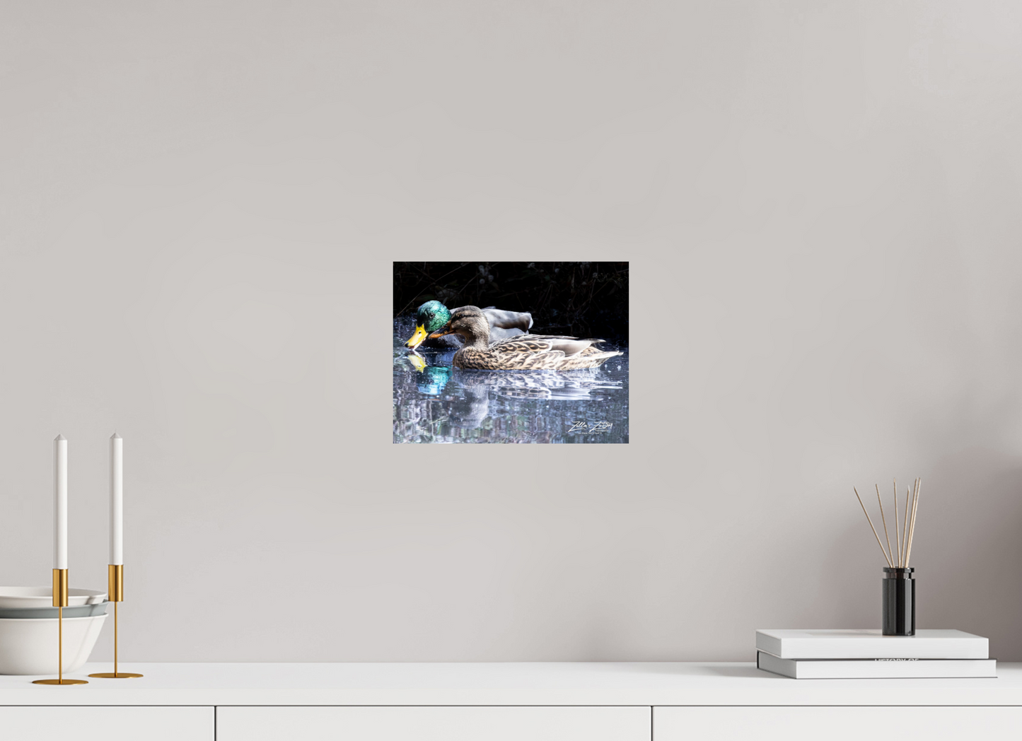 10.4 x 8″, Photo Print On Fuji Crystal DP II Zillas Zoom Image 292