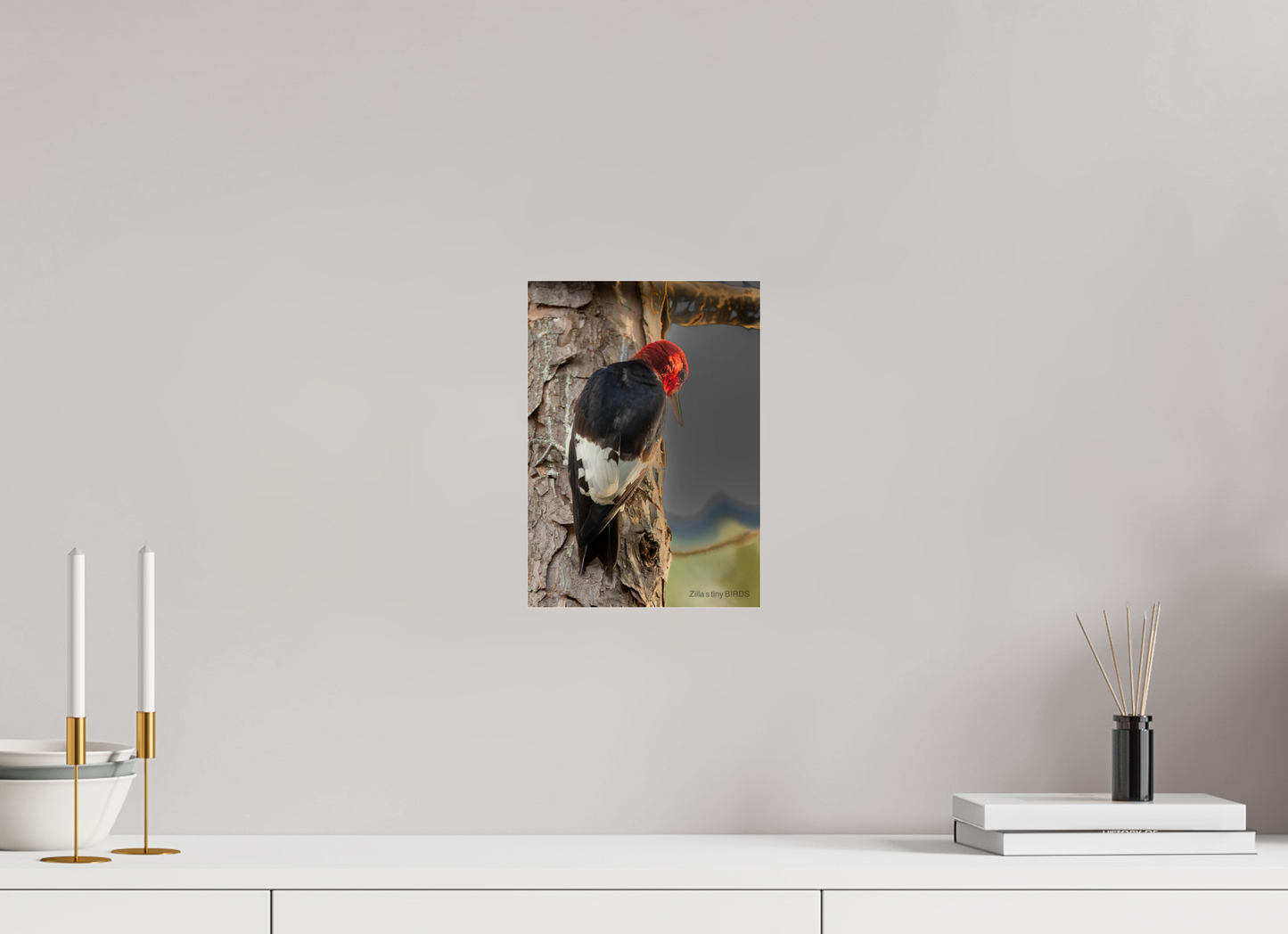 8 x 11.2″, Photo Print Under Acrylic Glass Zillas Zoom Image 502
