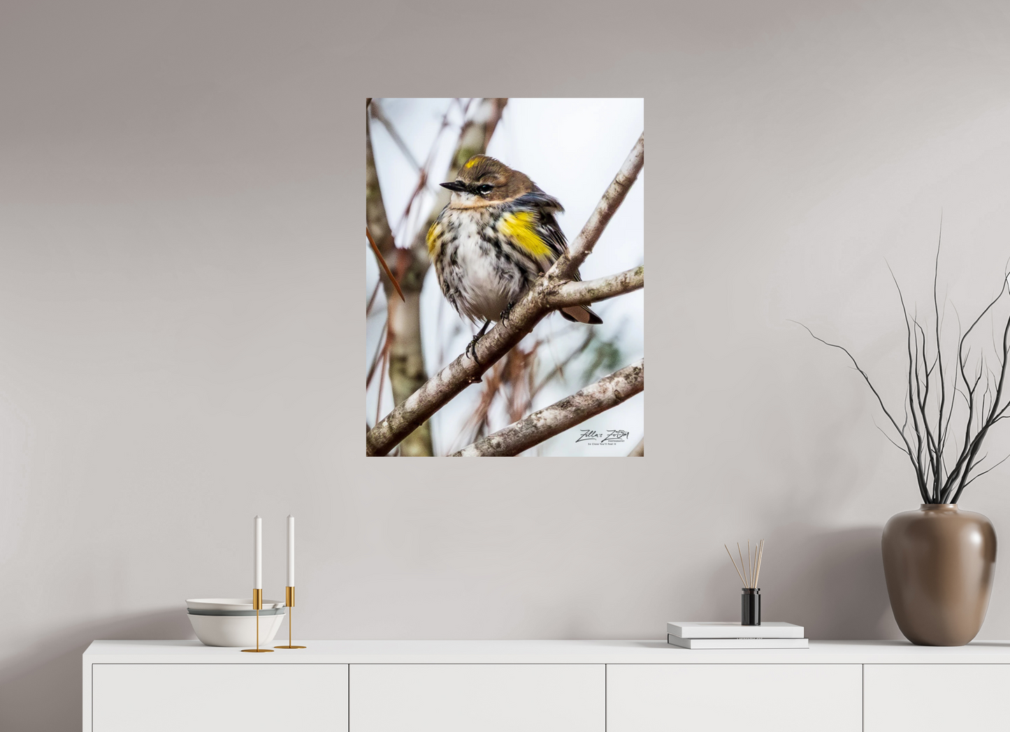 24 x 31.1″, Photo Print On Fuji Crystal DP II Zillas Zoom Image 501