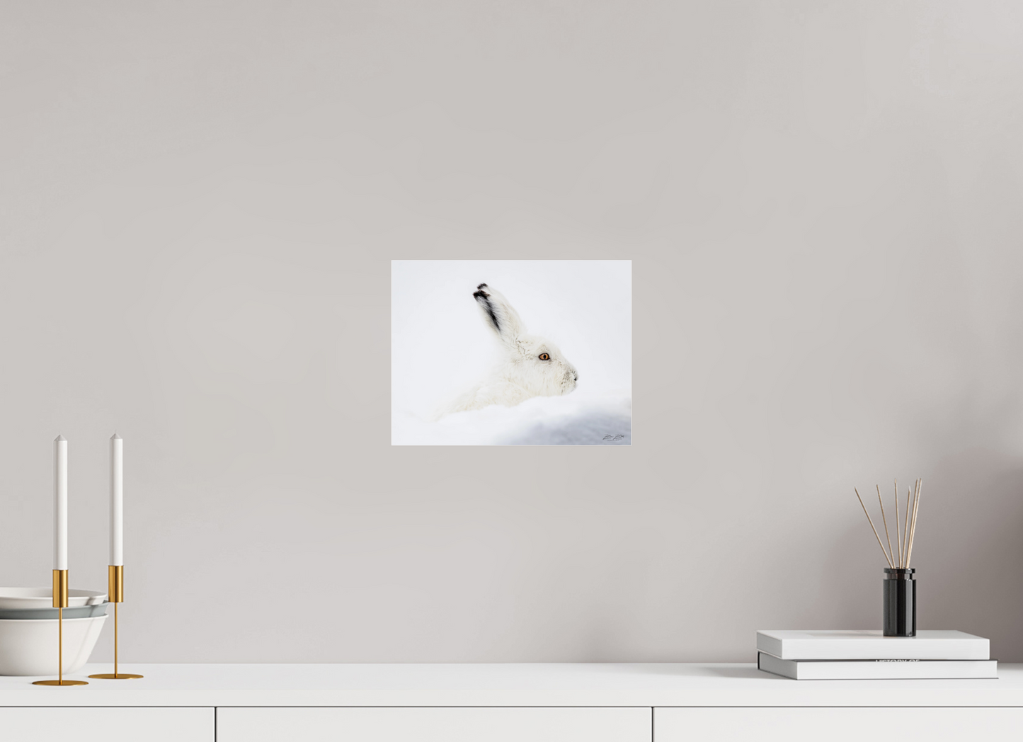 10.4 x 8″, Photo Print Under Acrylic Glass Zillas zoom image 147