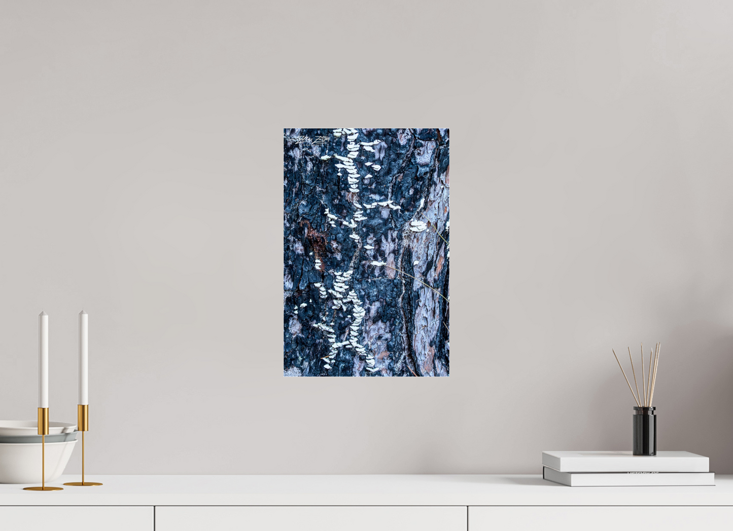 10 x 15″, Photo Print Under Acrylic Glass Zillas Zoom Image 114