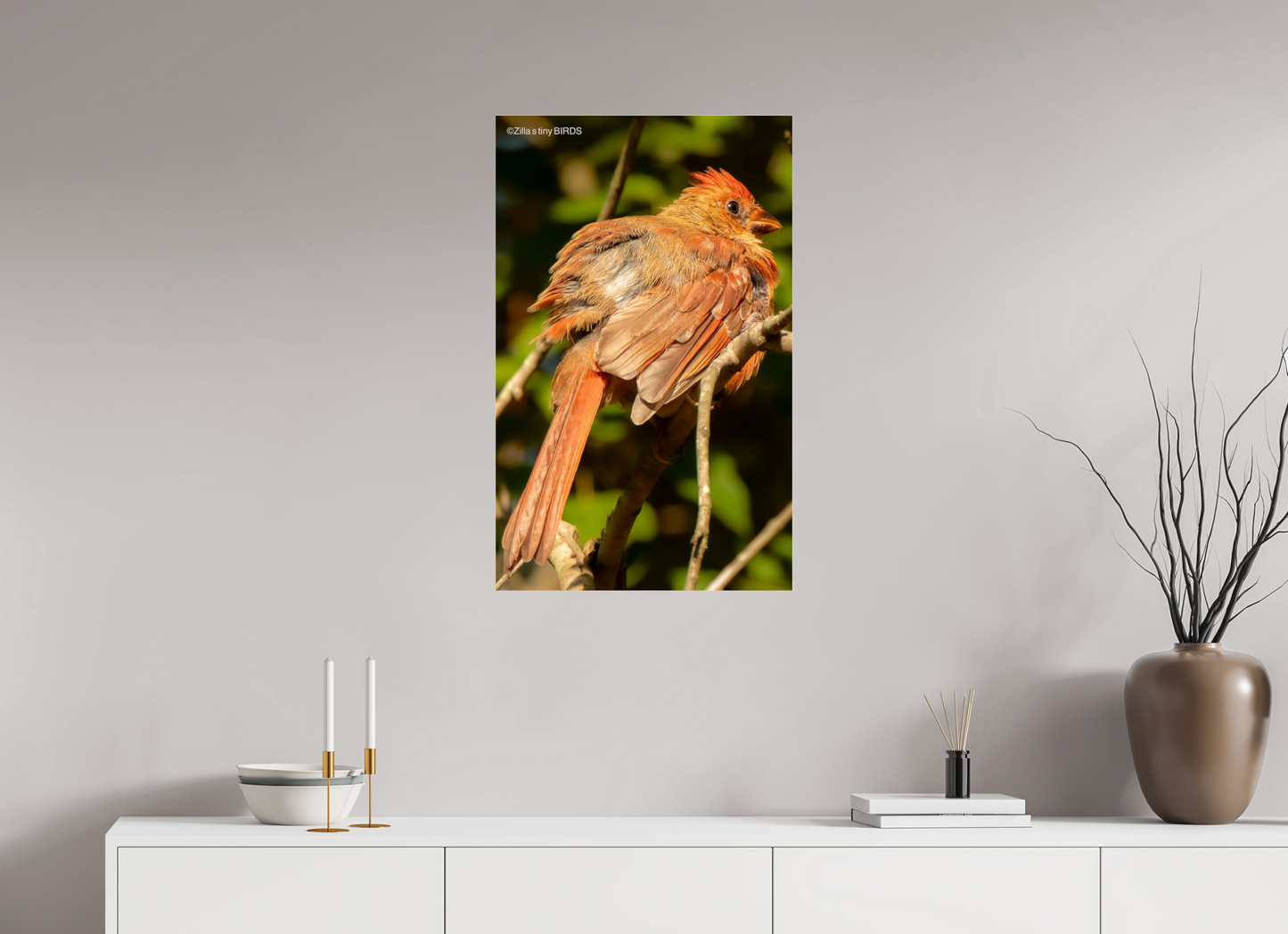 20 x 32″, Photo Print Under Acrylic Glass Zillas Zoom Image 403