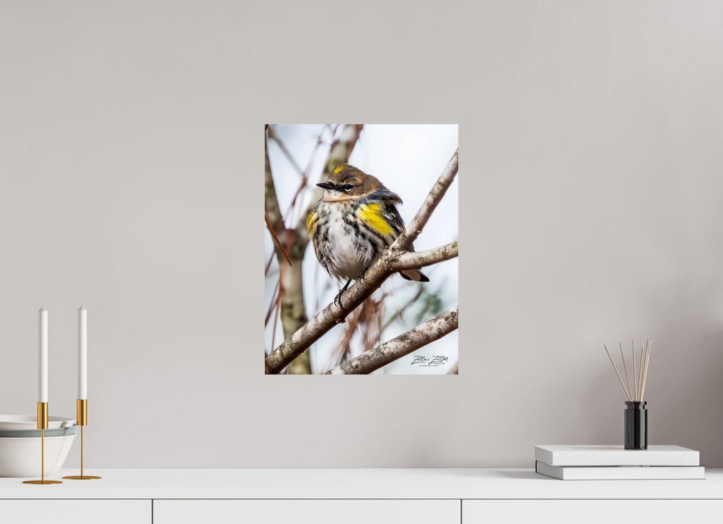 12 x 15.6″, Photo Print On Fuji Crystal DP II Zillas Zoom Image 501