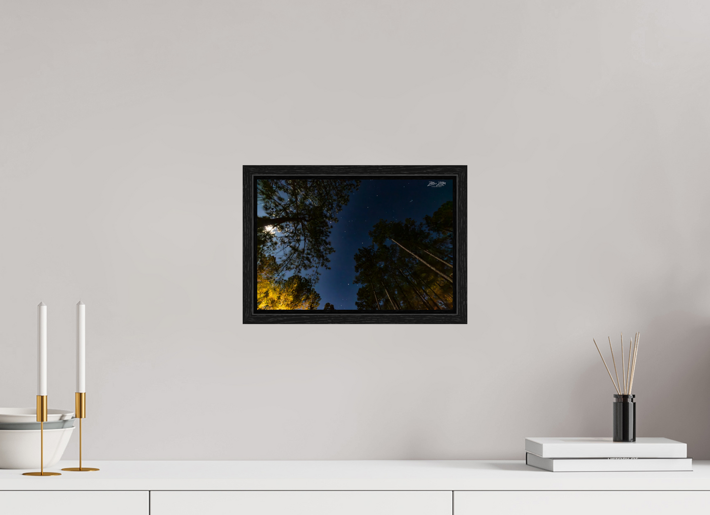 12 x 8″, Floater Frame Zillas zoom image 119