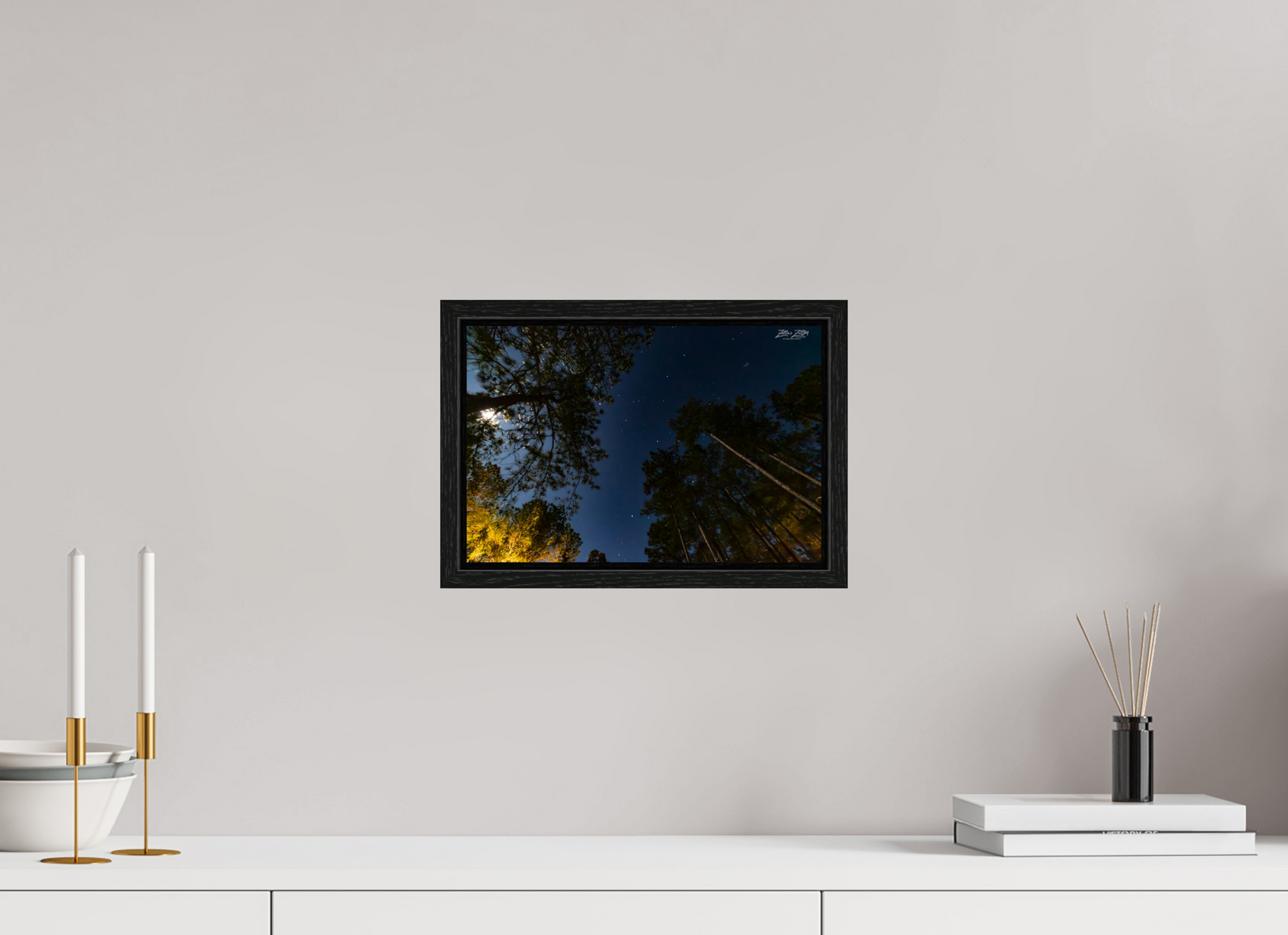 12 x 8″, Floater Frame Zillas zoom image 119