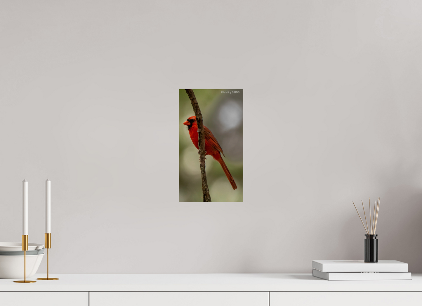 6.8 x 12″, Photo Print On Fuji Crystal DP II Zillas Zoom Image 486
