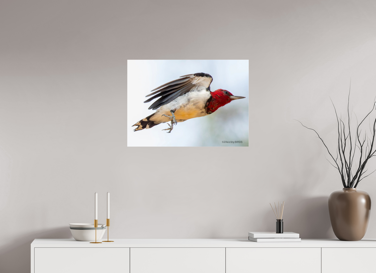 28 x 20″, Photo Print Under Acrylic Glass Zillas Zoom Image 325