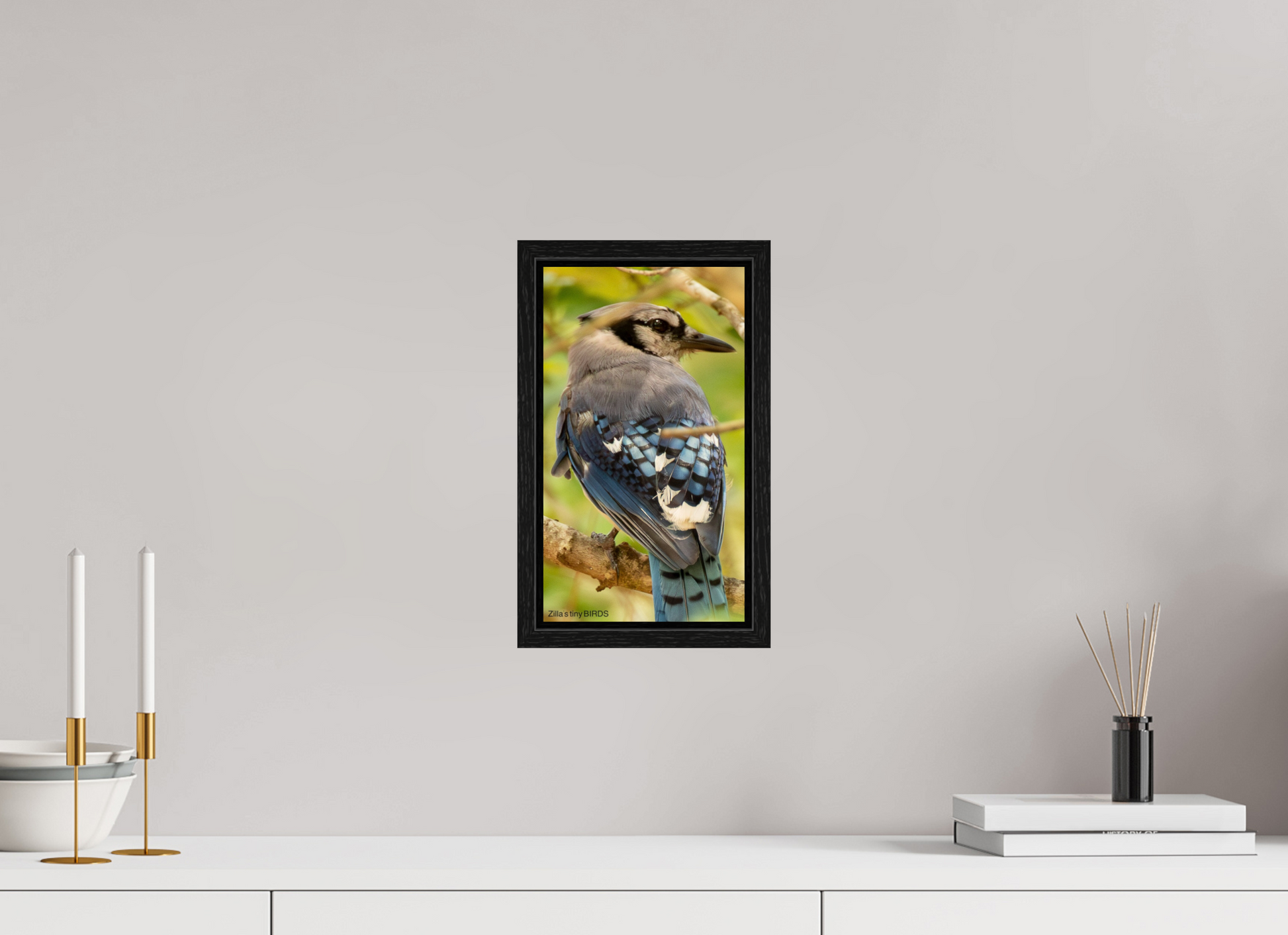 6.8 x 12″, Floater Frame Zillas Zoom Image 487