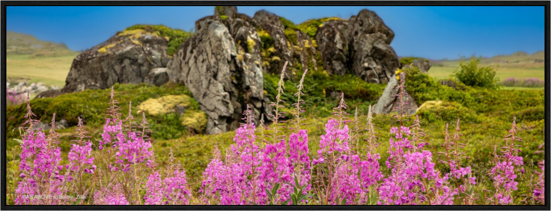 Main image Zillas Zoom Image 94