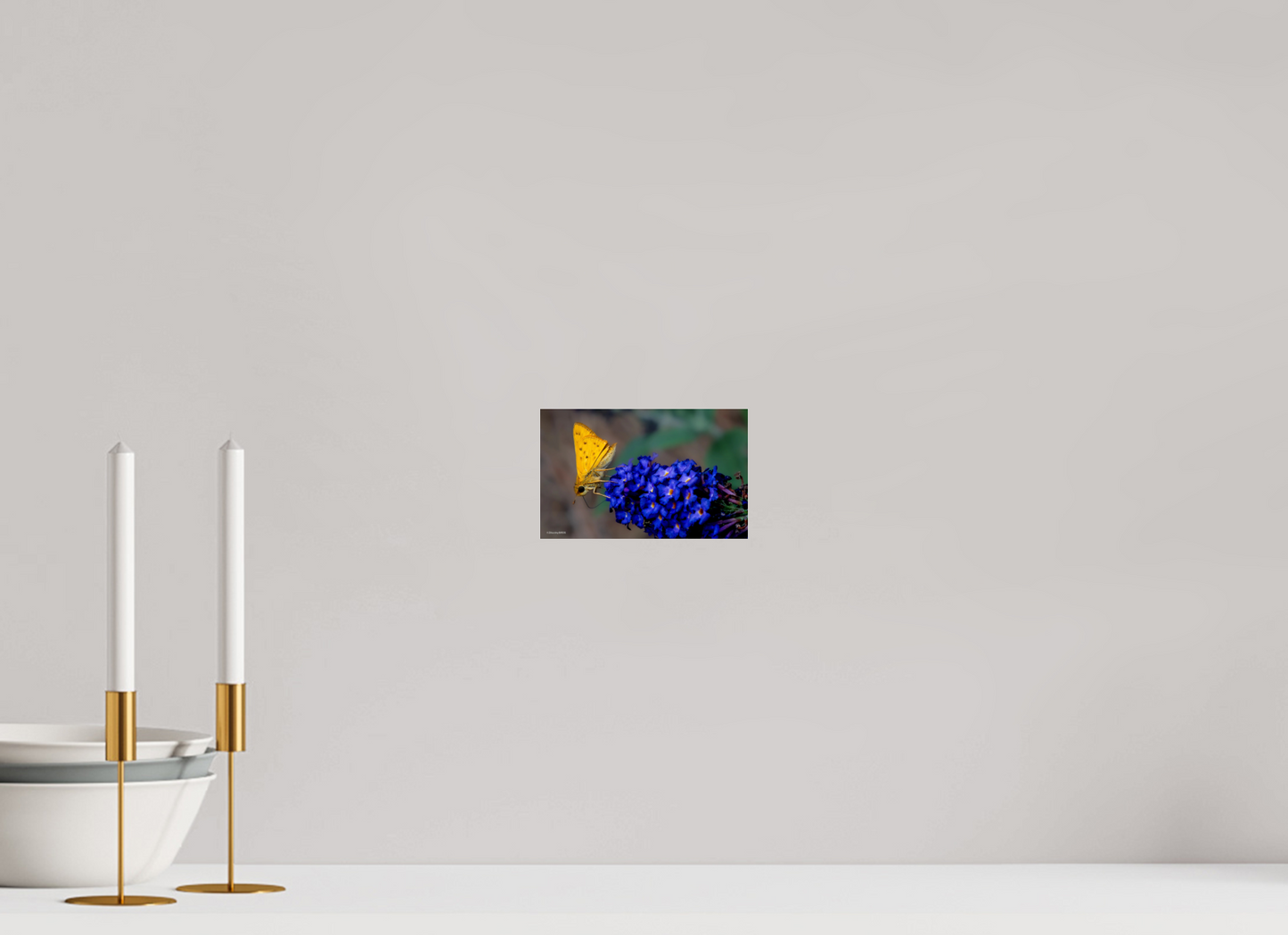 6.4 x 4″, Photo Print Under Acrylic Glass Zillas Zoom Image 61