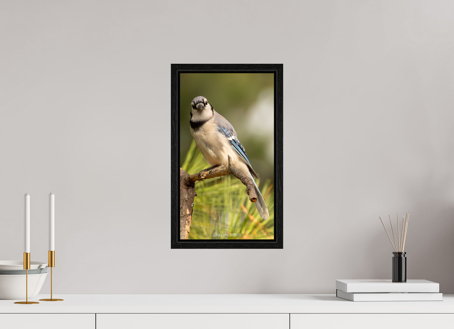 9 x 16″, Floater Frame Zillas Zoom Image 494