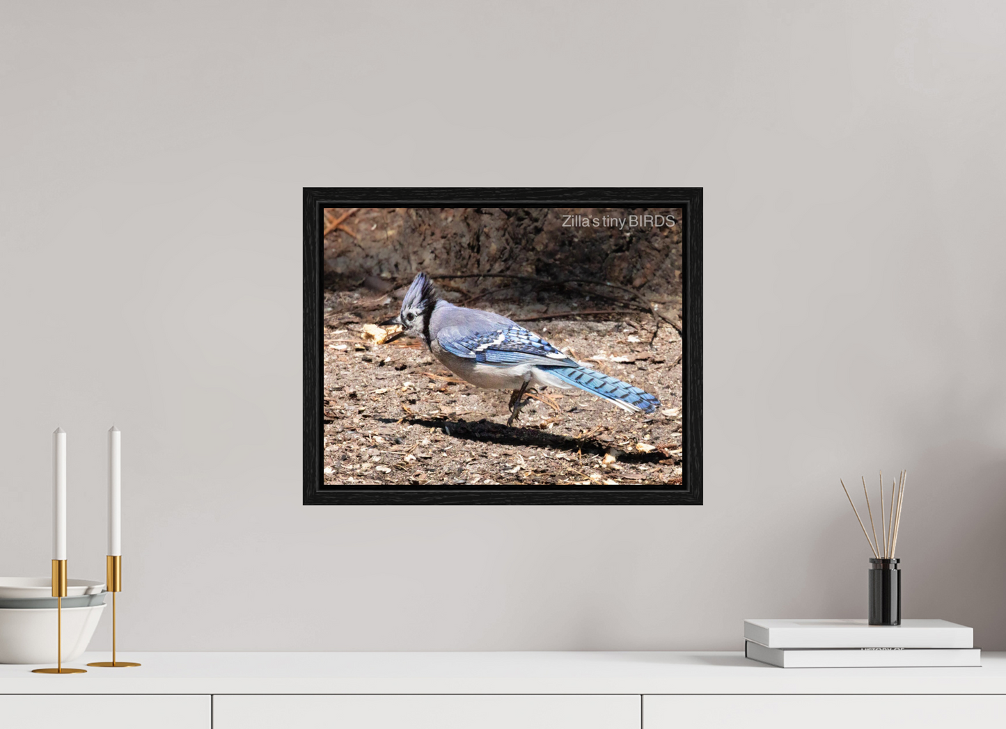15.6 x 12″, Floater Frame Zillas Zoom Image 381