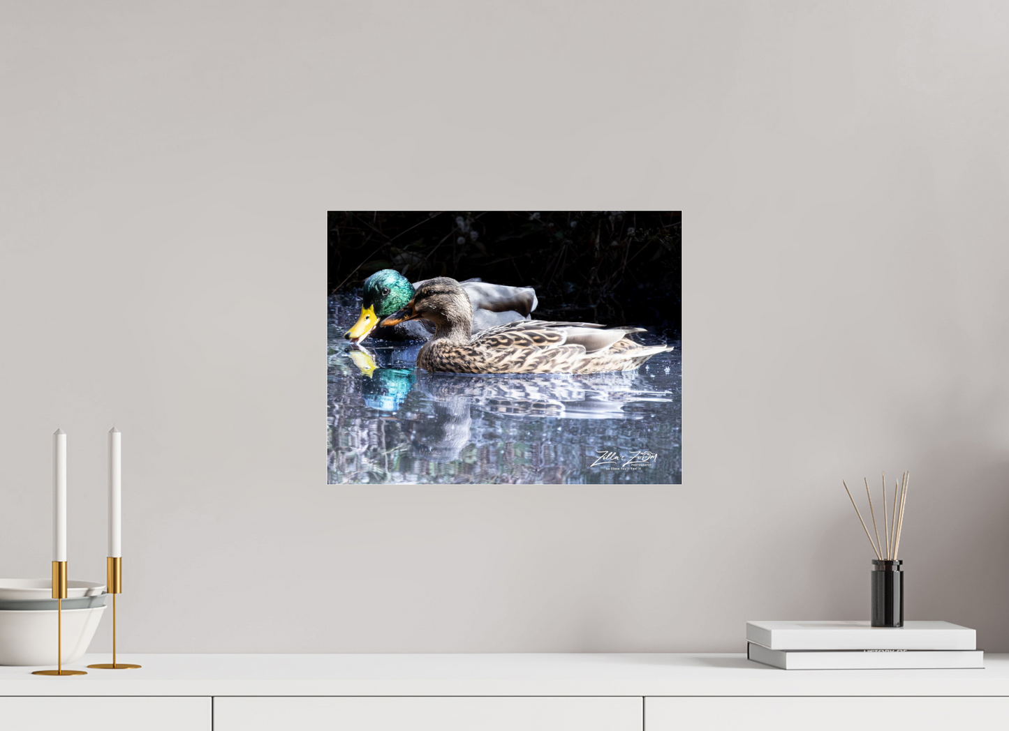 15.6 x 12″, Photo Print Under Acrylic Glass Zillas Zoom Image 292