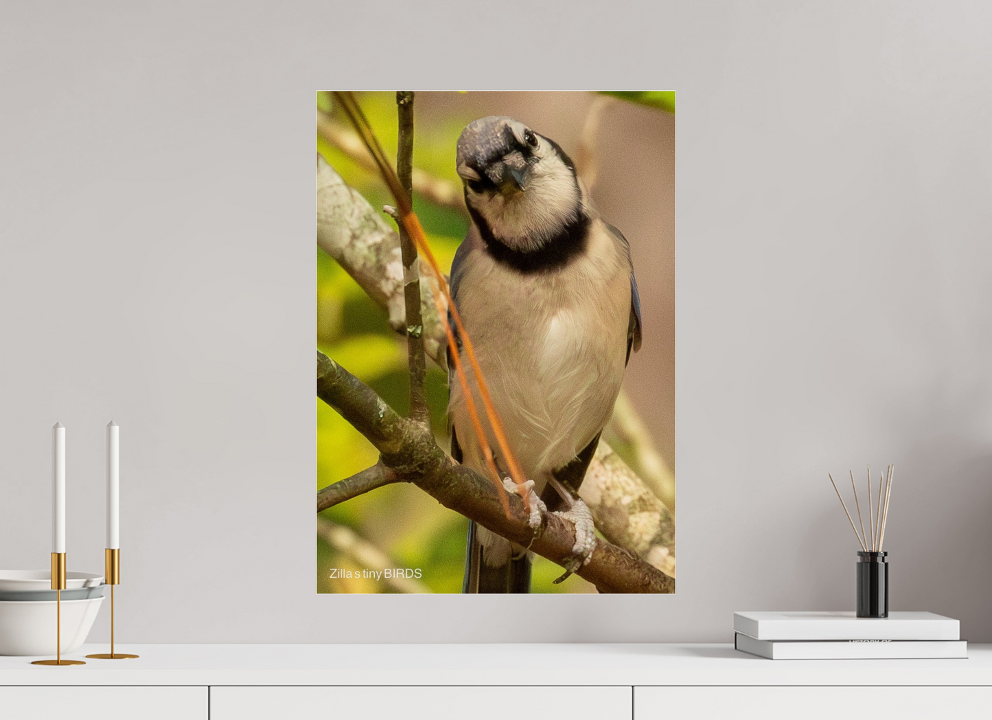 16 x 22.4″, Photo Print Under Acrylic Glass Zillas Zoom Image 505